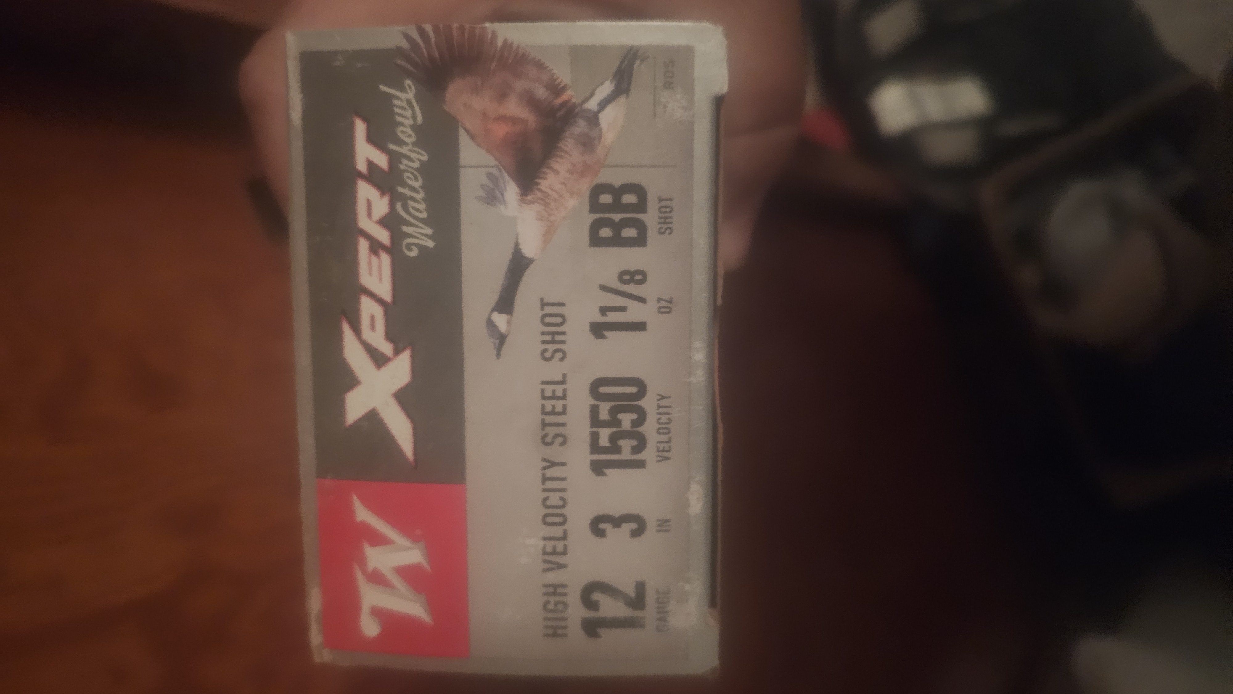 Photo of Shot gun shells