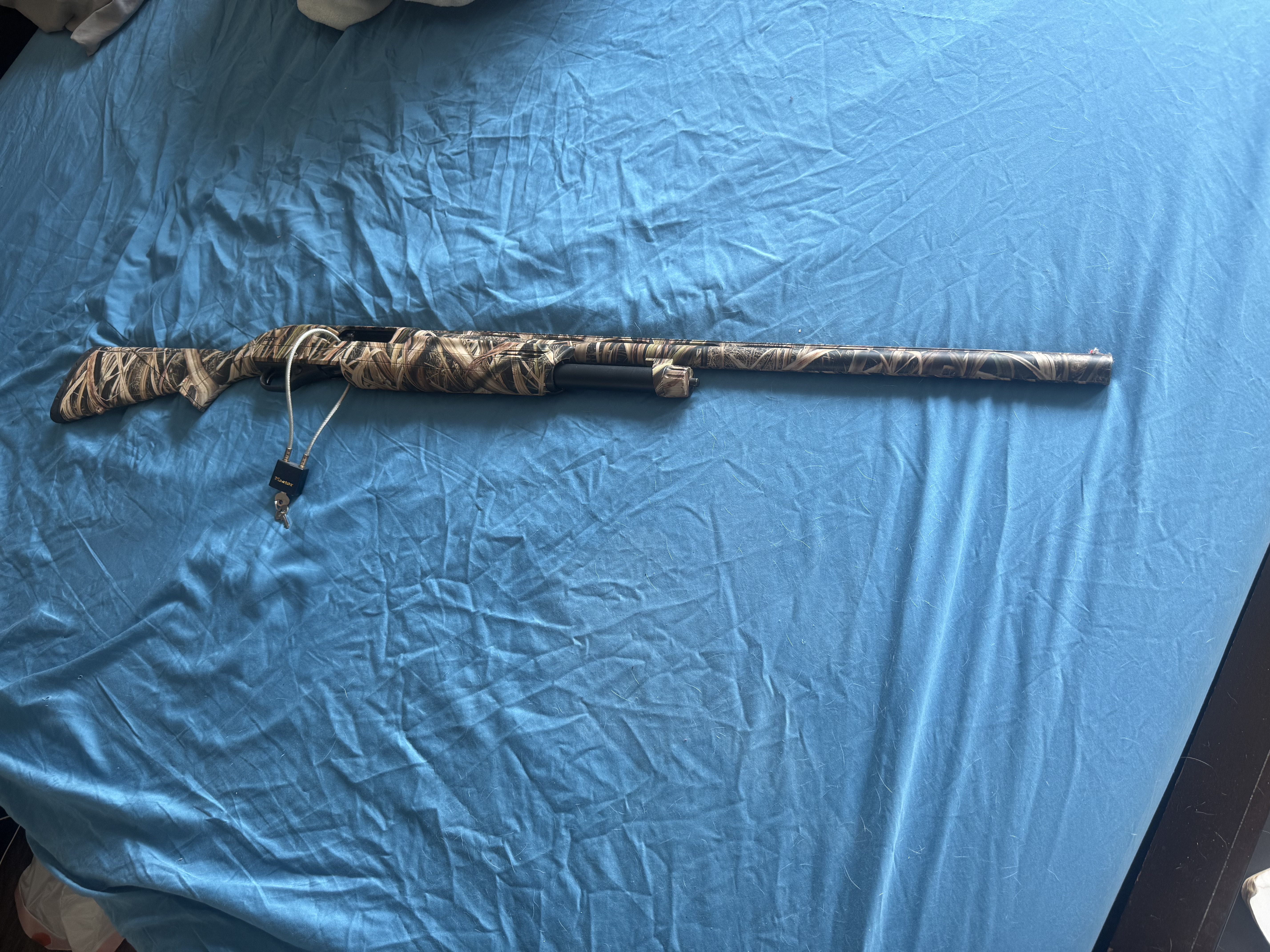 Photo of Winchester sxp 12 gauge NIB 