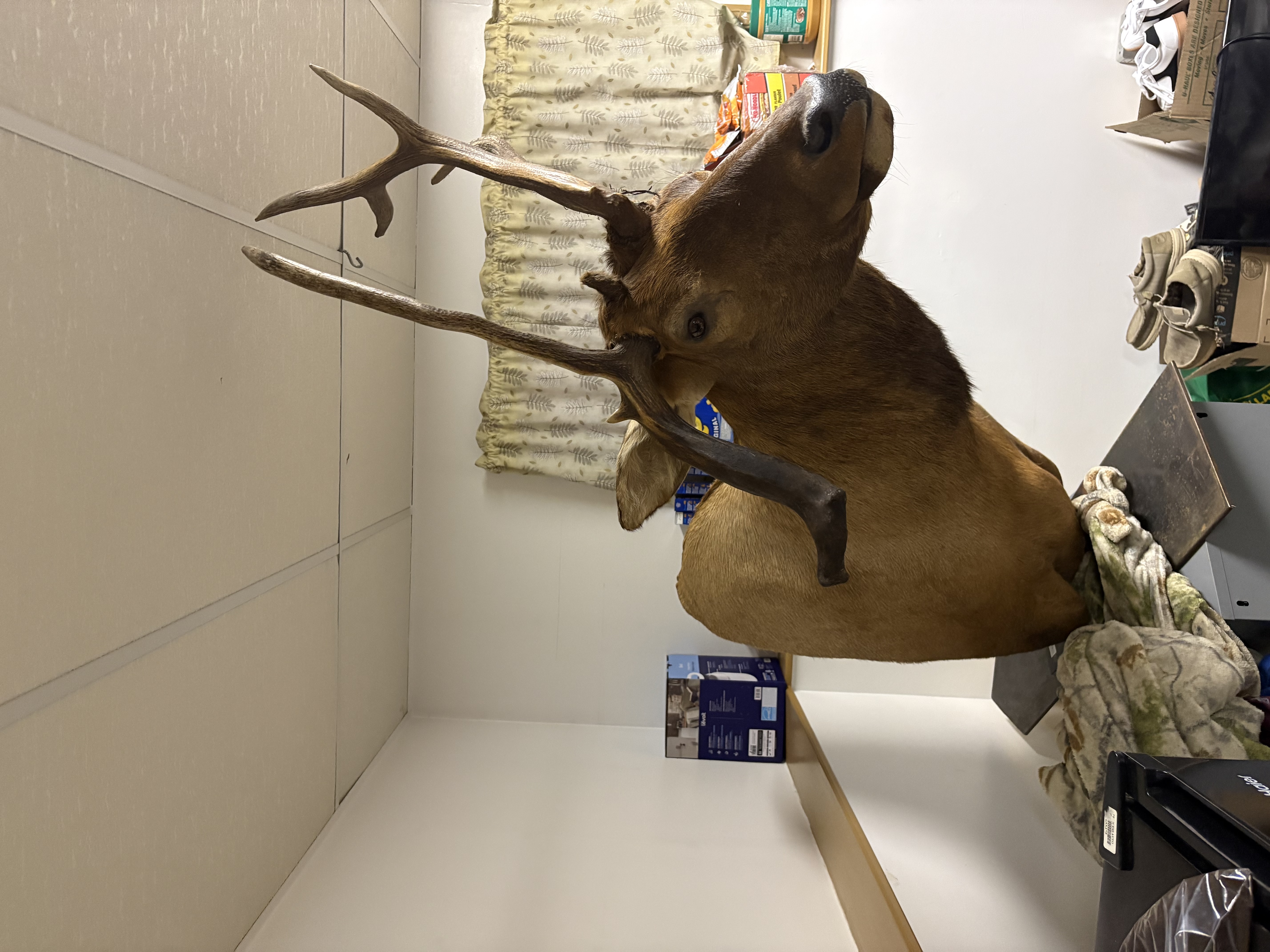 Photo of Man cave or shop decore 