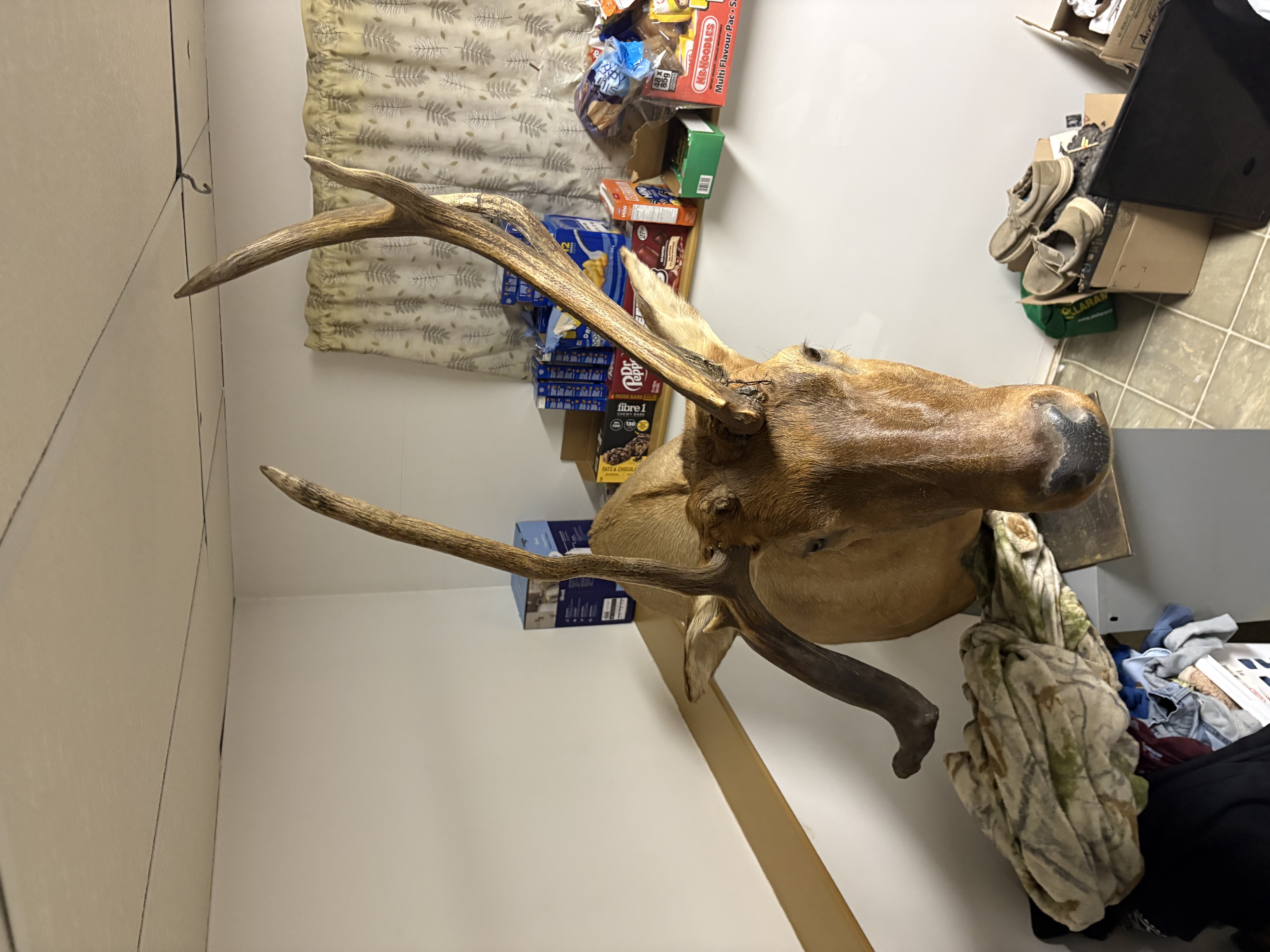 Photo of Man cave or shop decore 