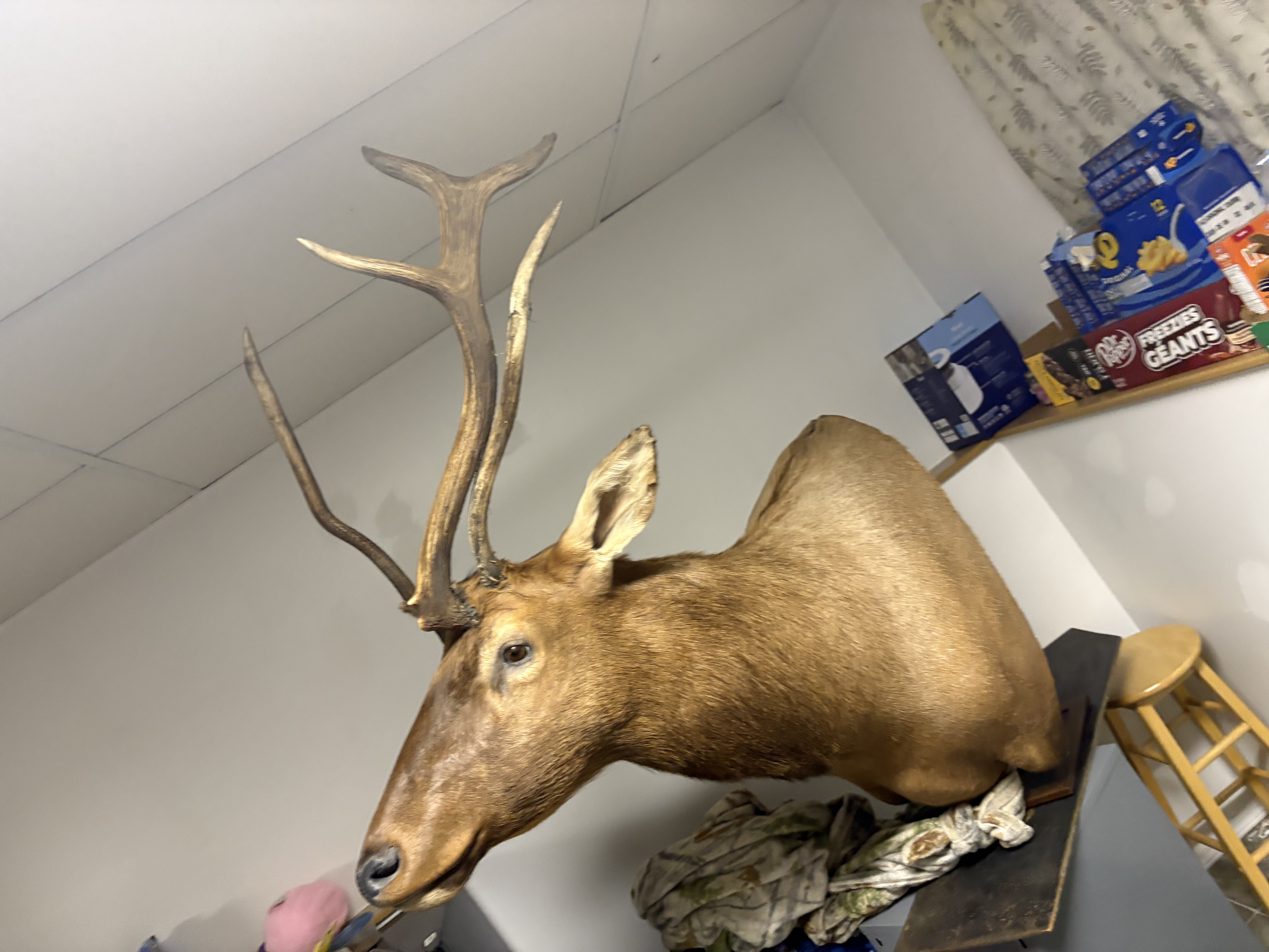 Photo of Man cave or shop decore 