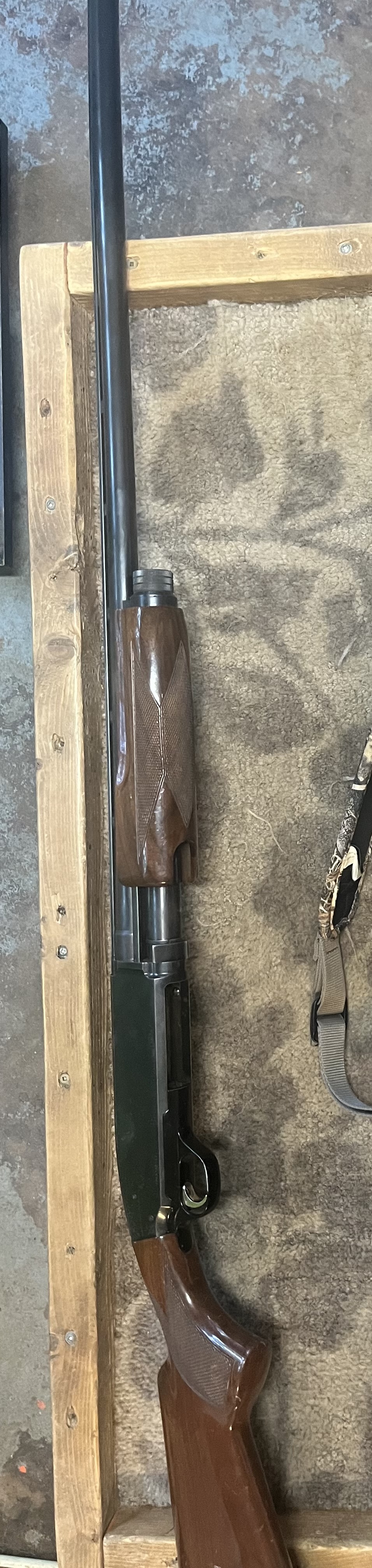 Photo of Browning pump shotgun