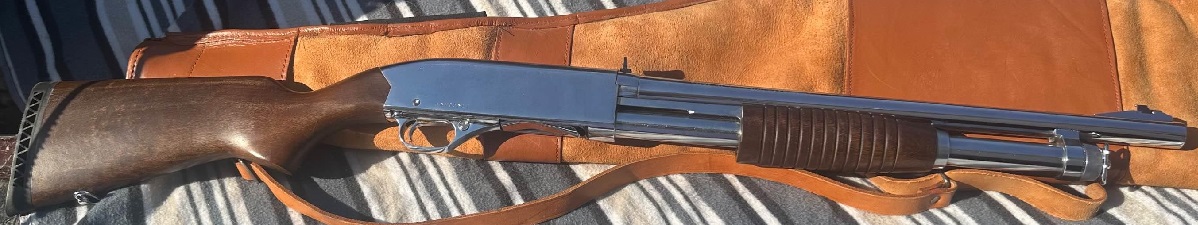 Photo of Winchester stainless marine 12