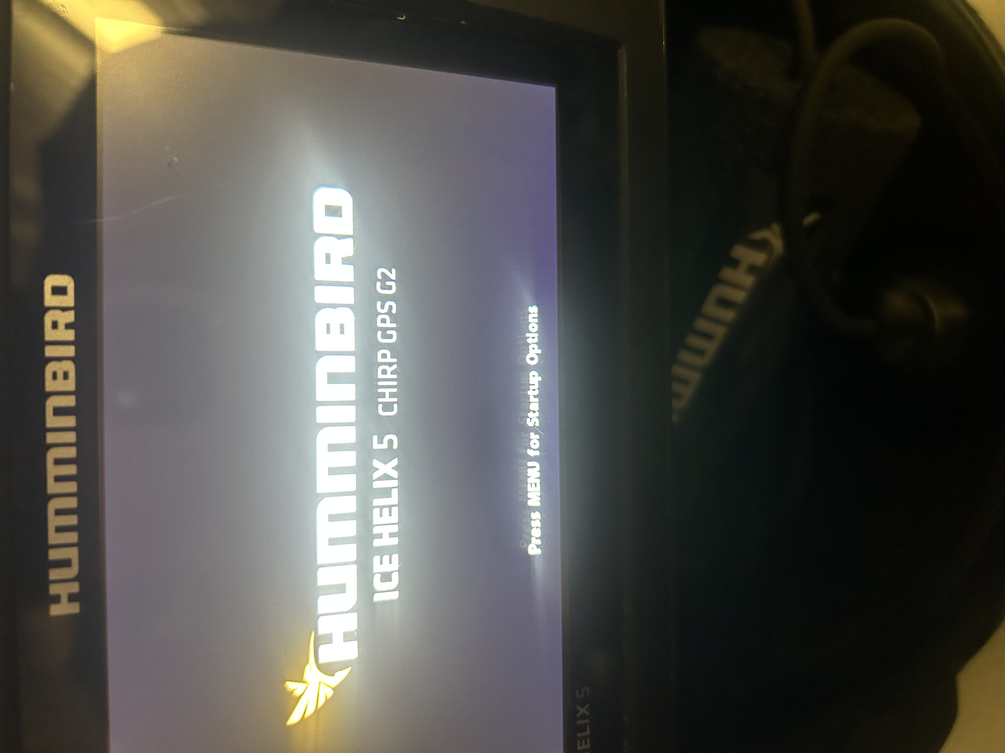 Photo of Hummingbird helix 5 