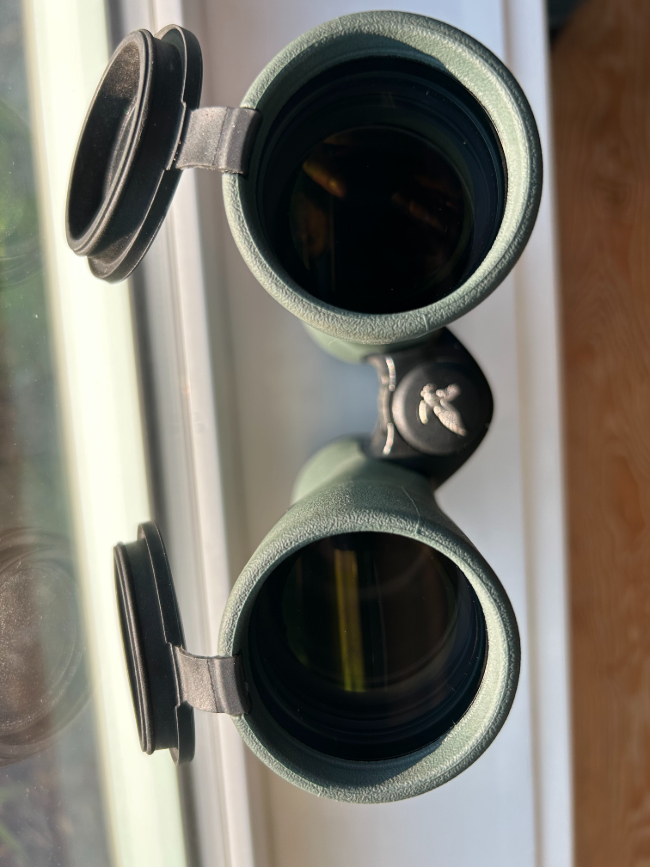 Swarovski 10x42 NL Pure Binoculars - 6 - 1753550477184_14D958F7-E16E-419A-991A-B39CB0A2D163