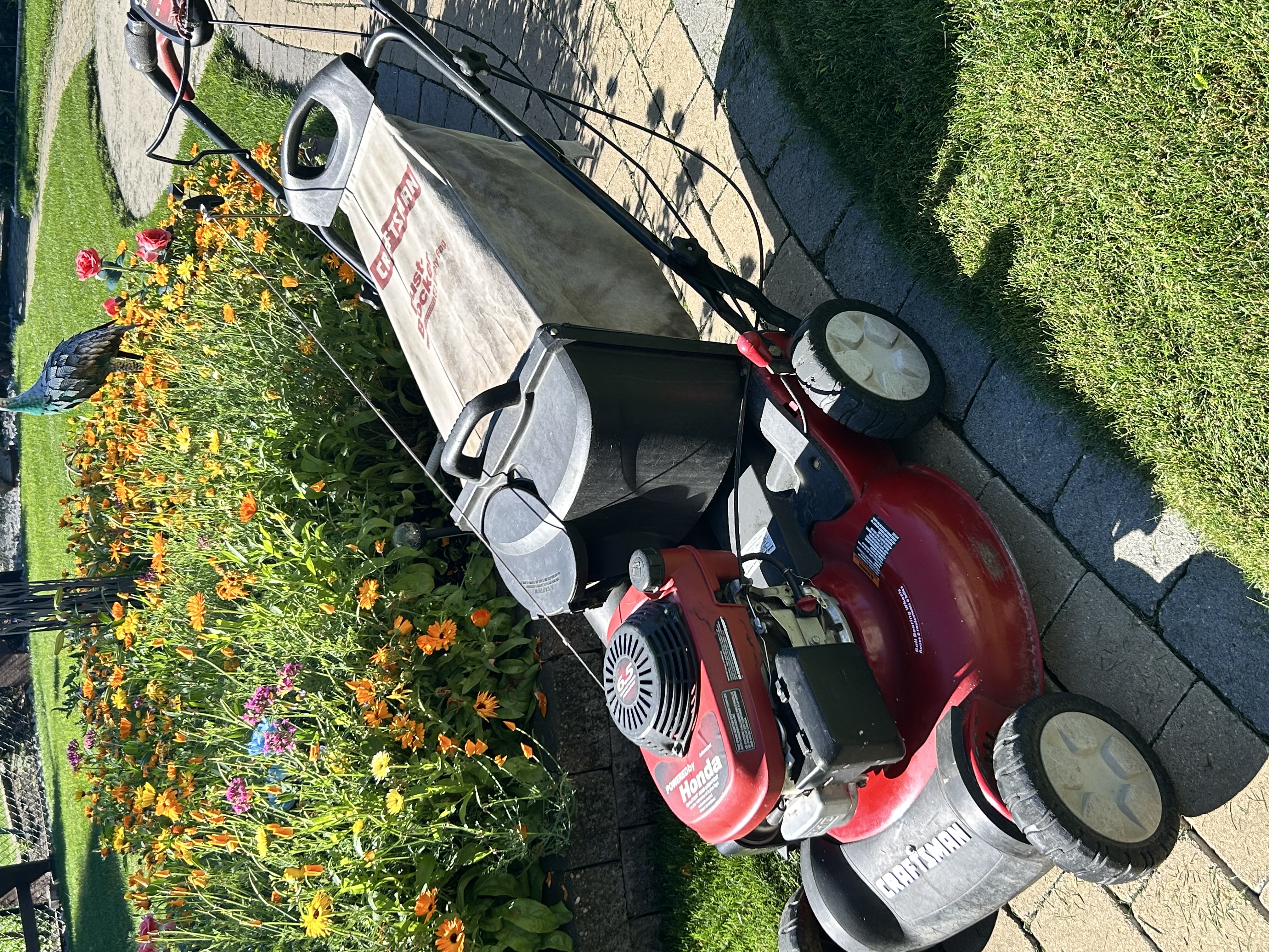 Photo of Lawn mower