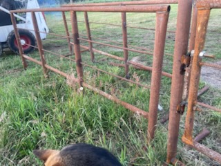 Photo of Free standing panels