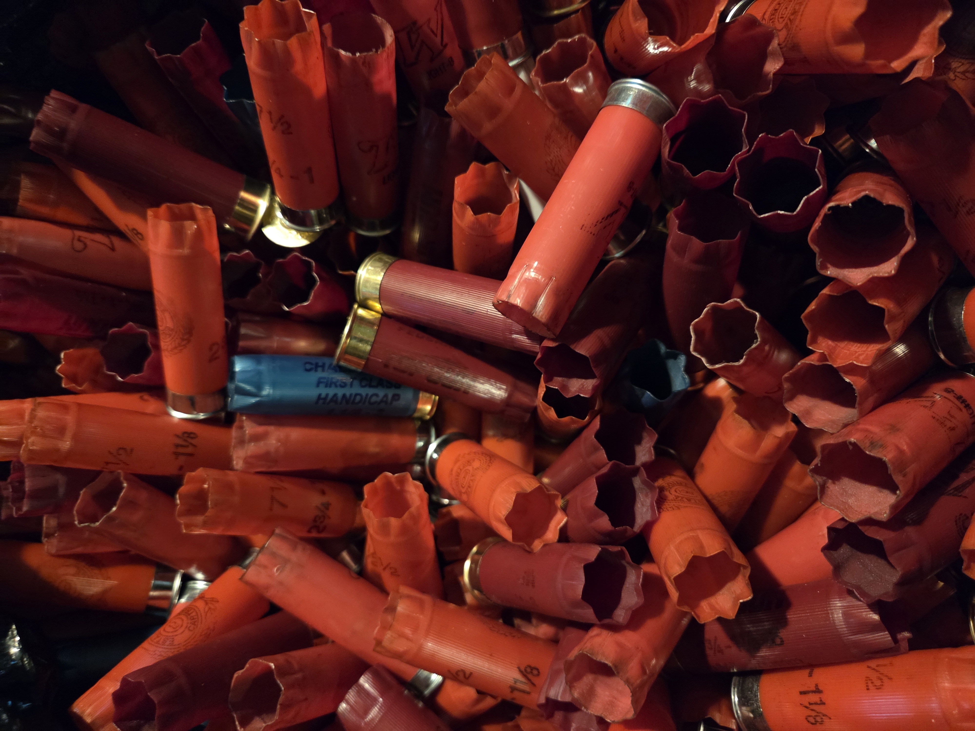 Photo of Mixed 12 Gauge Hulls