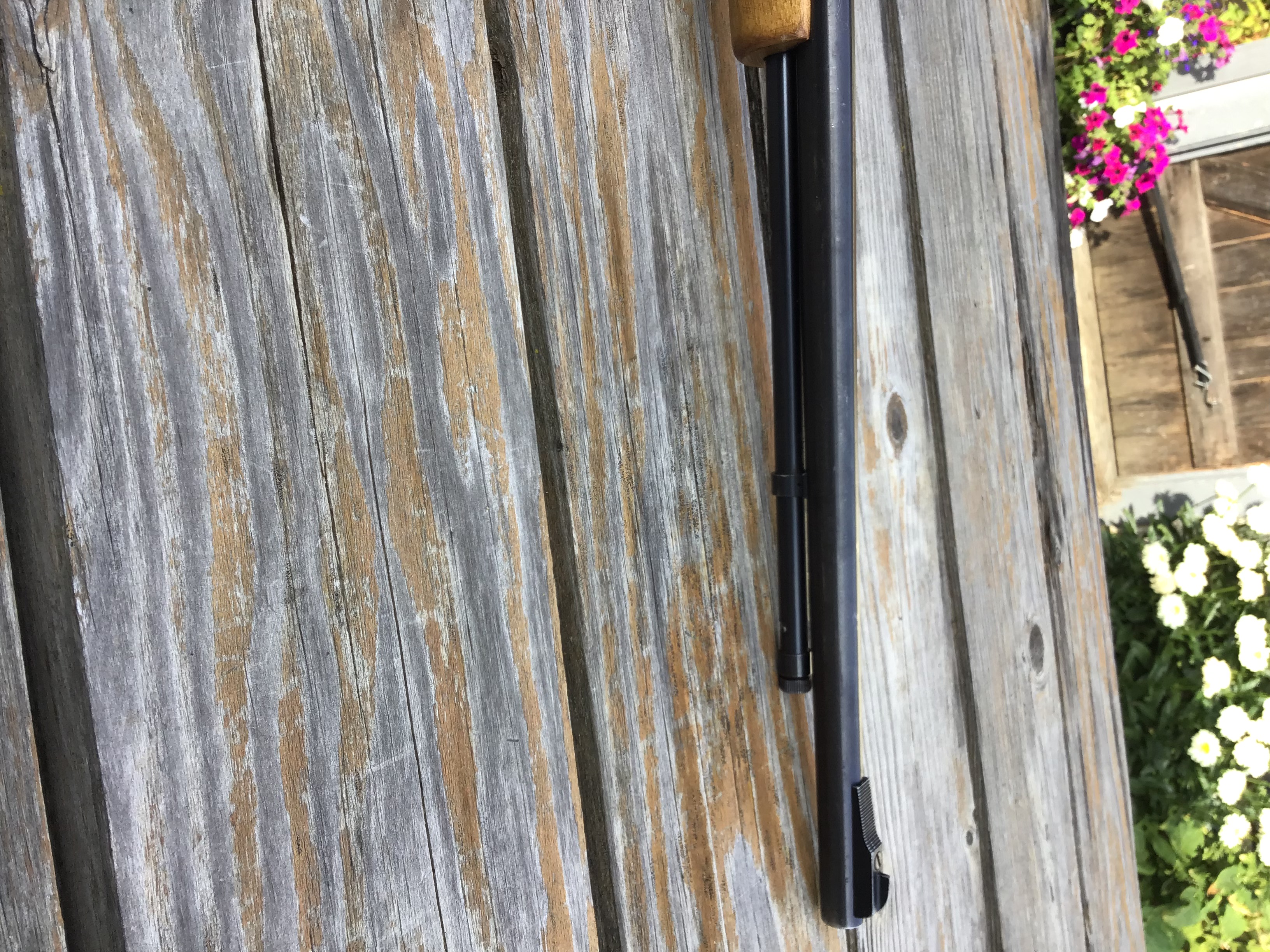 Marlin model 60  .22LR semi-auto - 3 - 1754600770396_IMG_0616