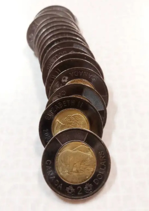 Photo of BLACK TOONIES ONLY $4 each