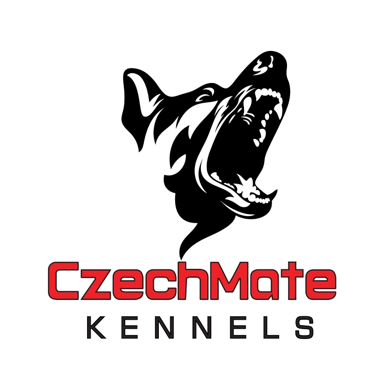 Malinois puppies for sale - 6 - 1754929372379_LogobitingSeeThrough