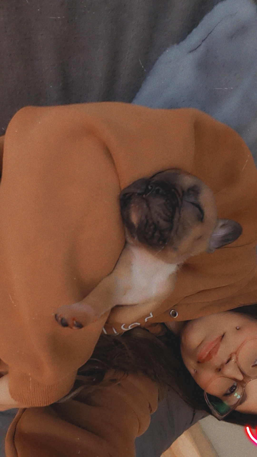 French bulldog puppy - 4 - 1754938278172_1000002511