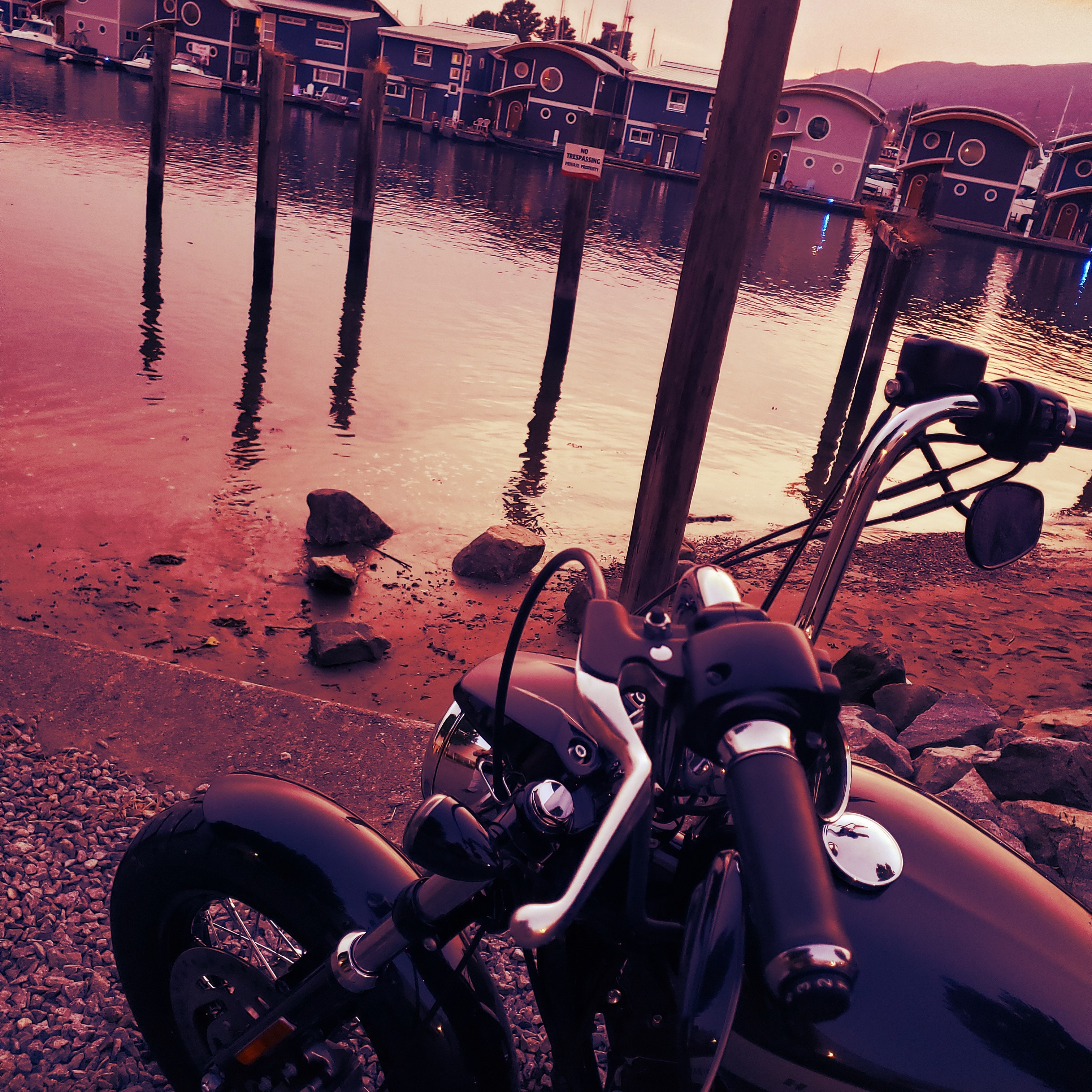 Photo of 2018 Harley-Davidson XL1200 Custom 