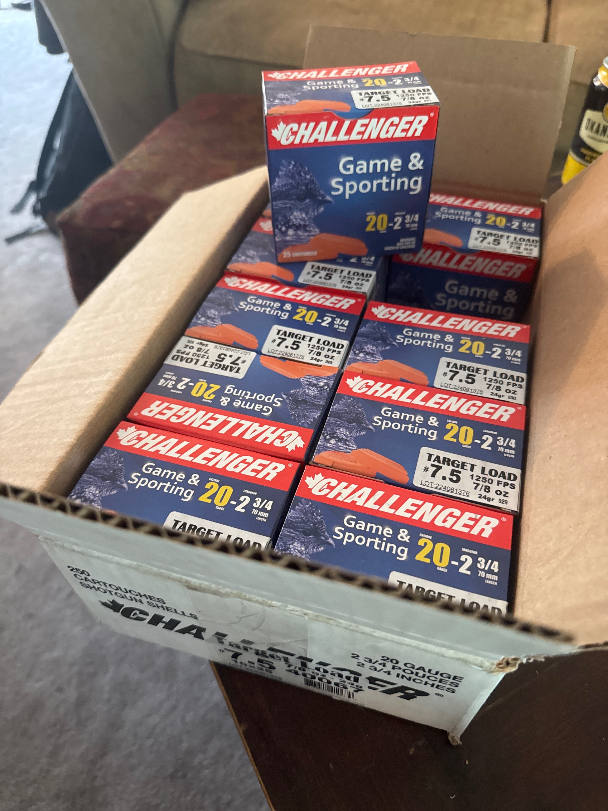 Photo of 250RDS of 20GA clay target rounds