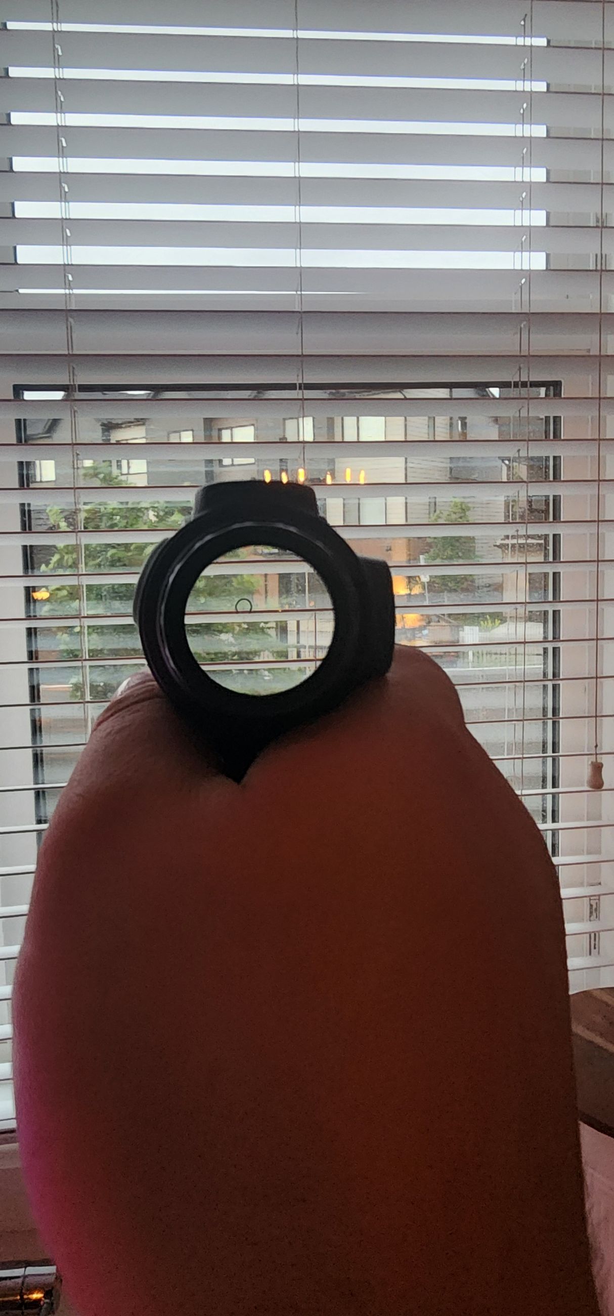 Photo of primary arms glx 1x 