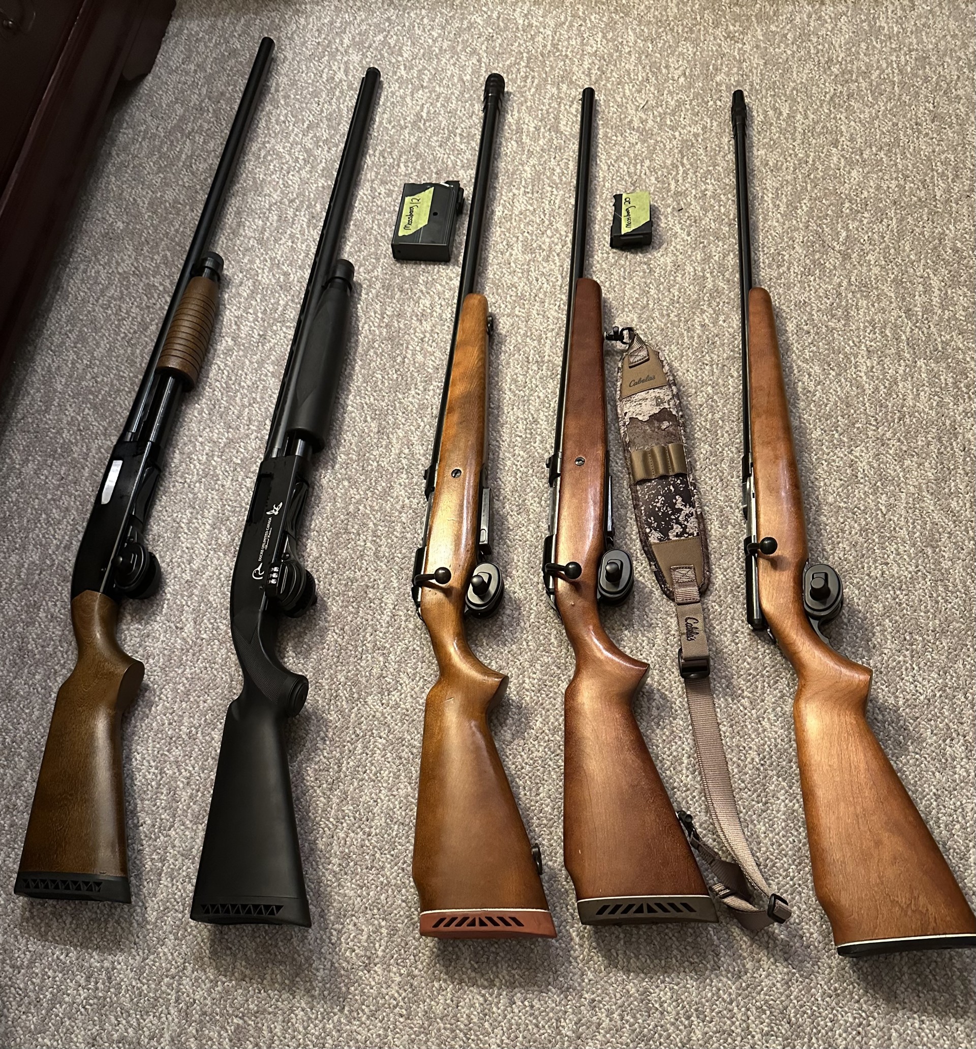 Photo of Shotguns in mint condition for sale , 20guage unfired new from 1980s