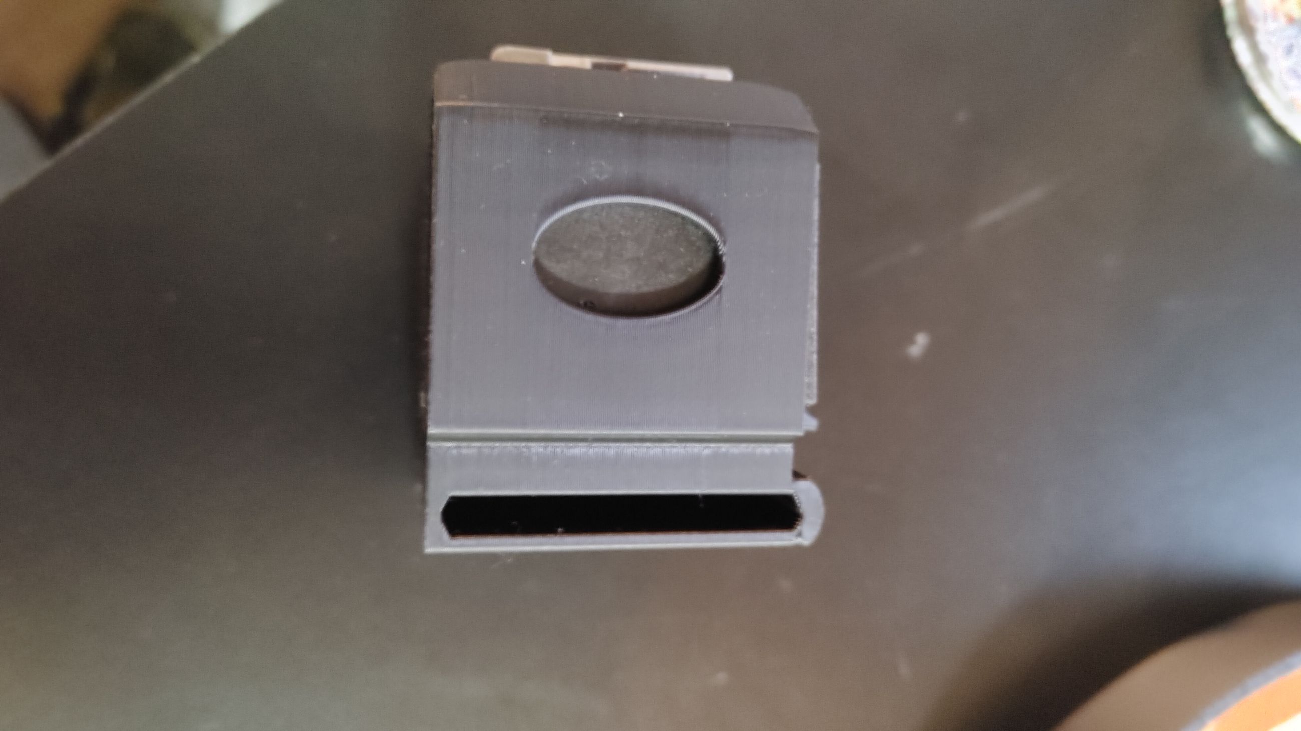 Photo of Ruger 10/22 mag puoch 