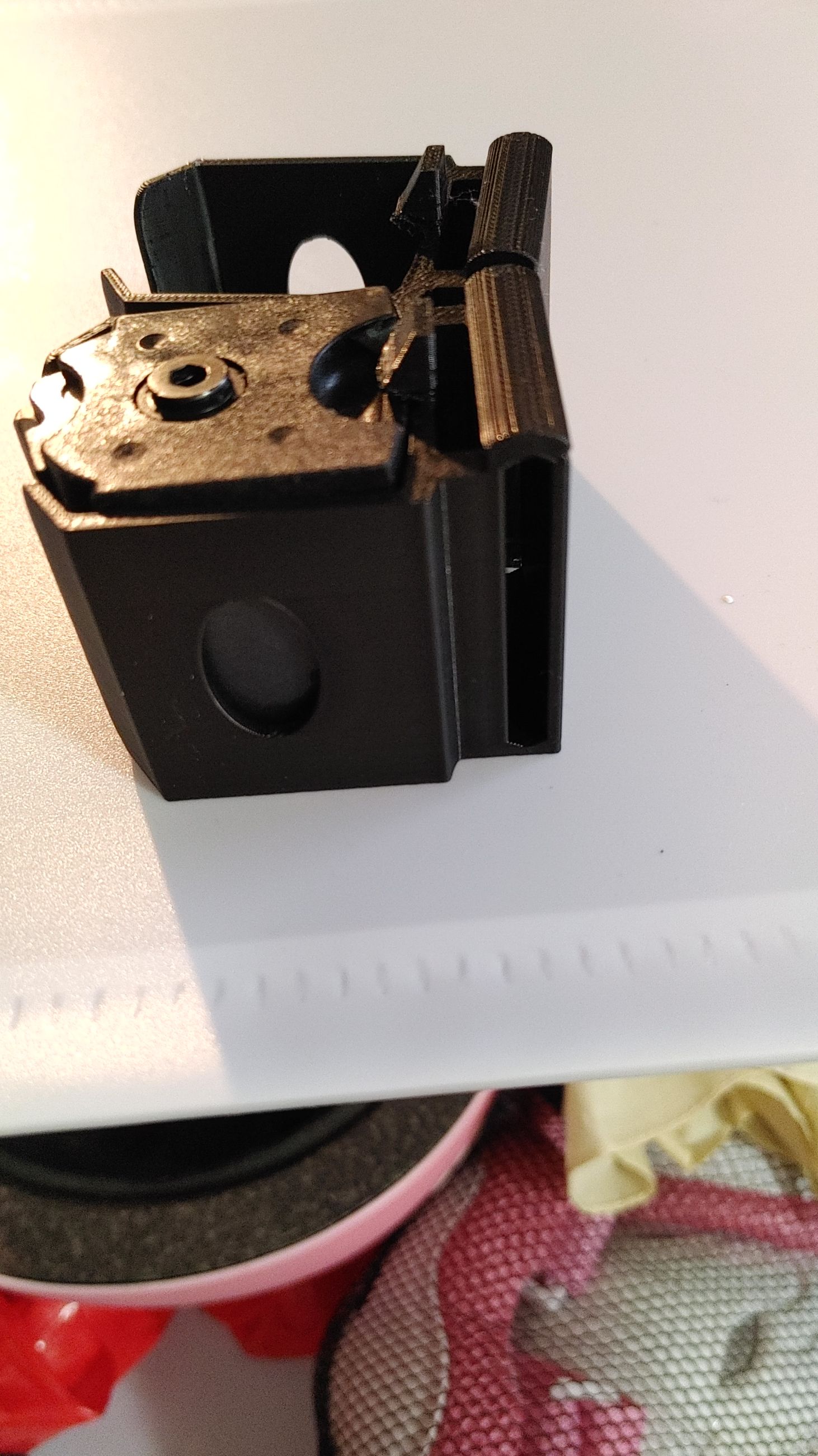 Photo of Ruger 10/22 mag puoch 