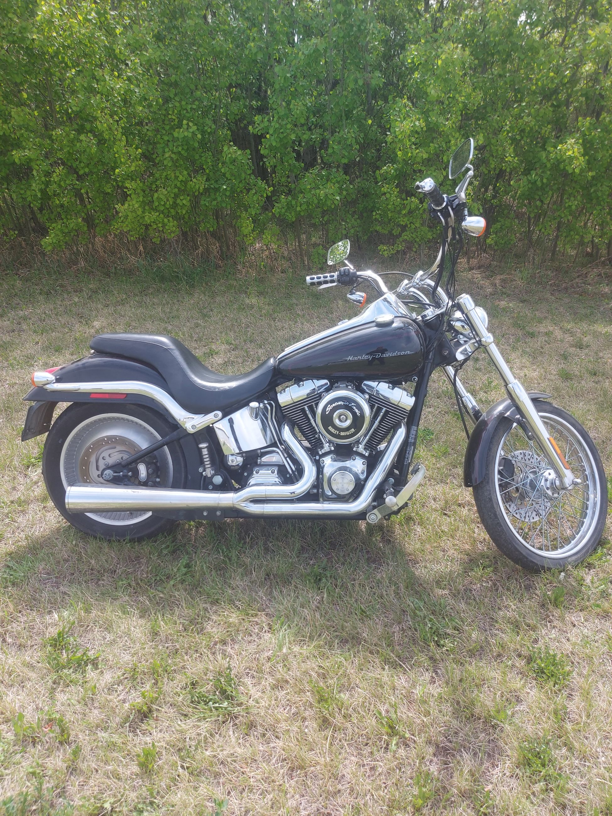 Photo of 2001 Harley davidson deuce 