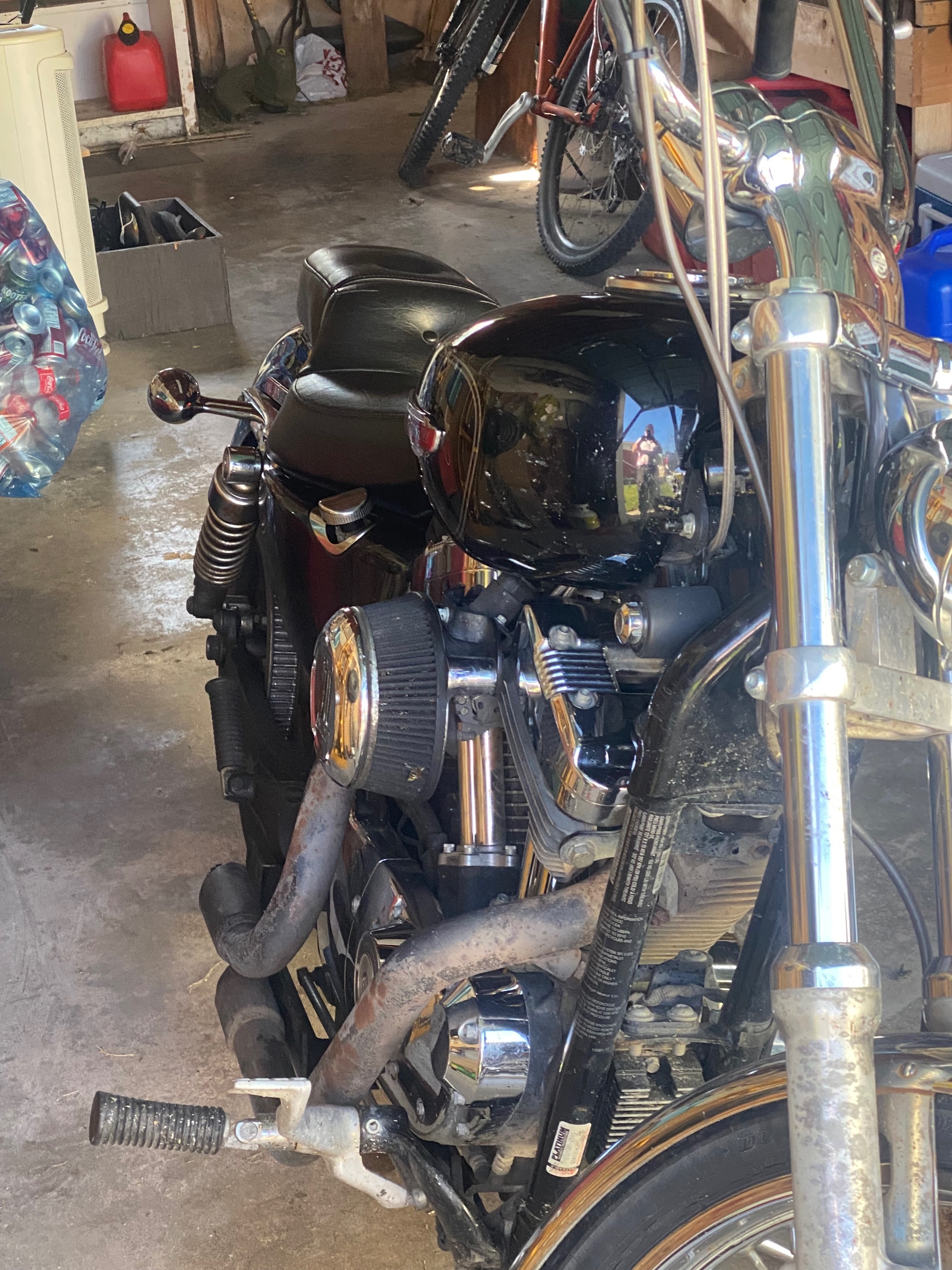 Photo of 1200 Harley sportster