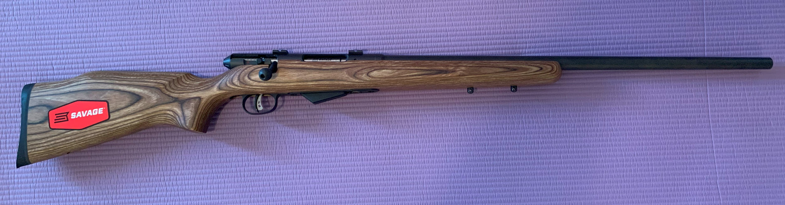Photo of Savage Mod.25 Lightweight Varminter 17 Hornet.