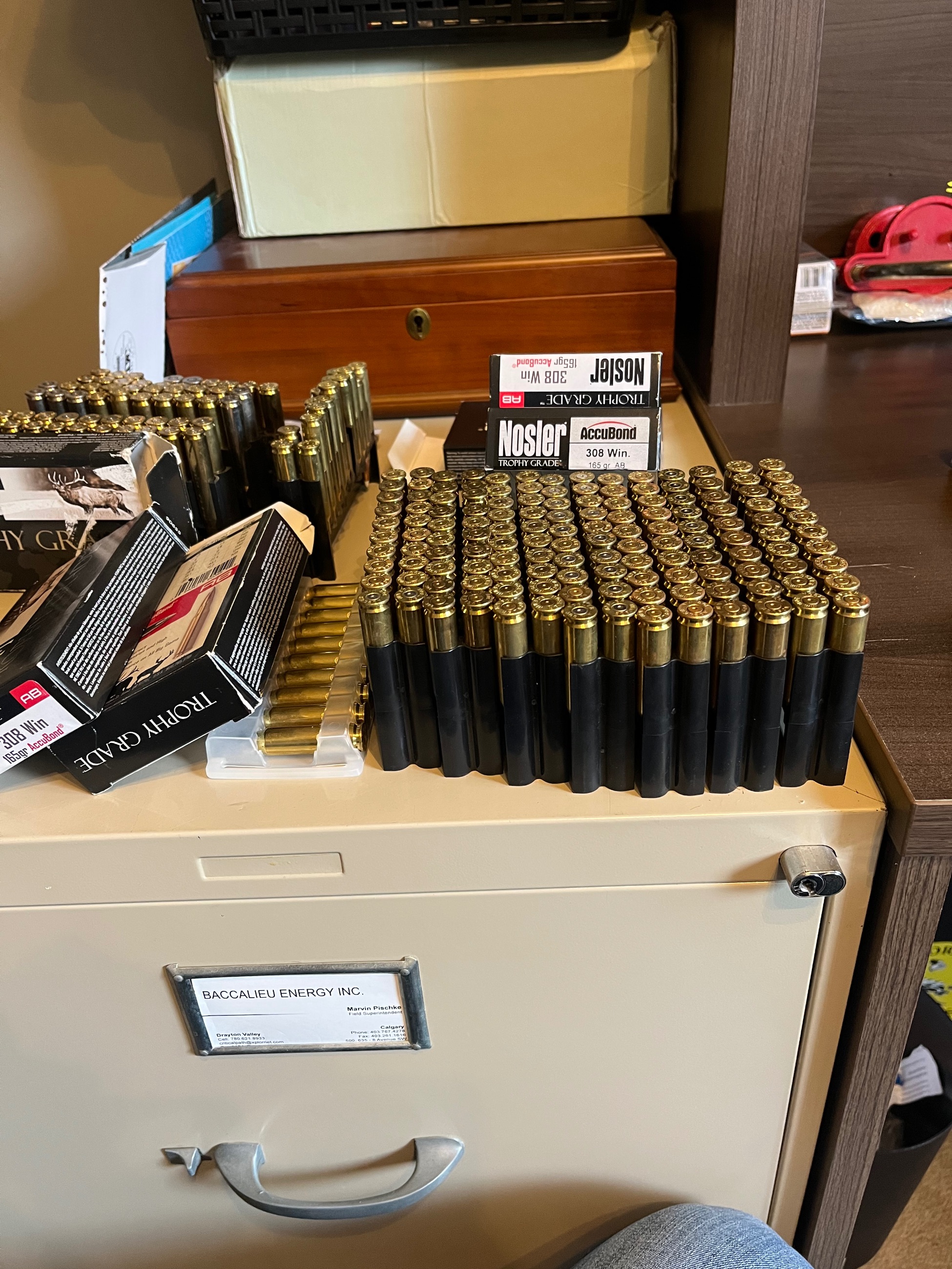 Photo of 308 Nosler casings 