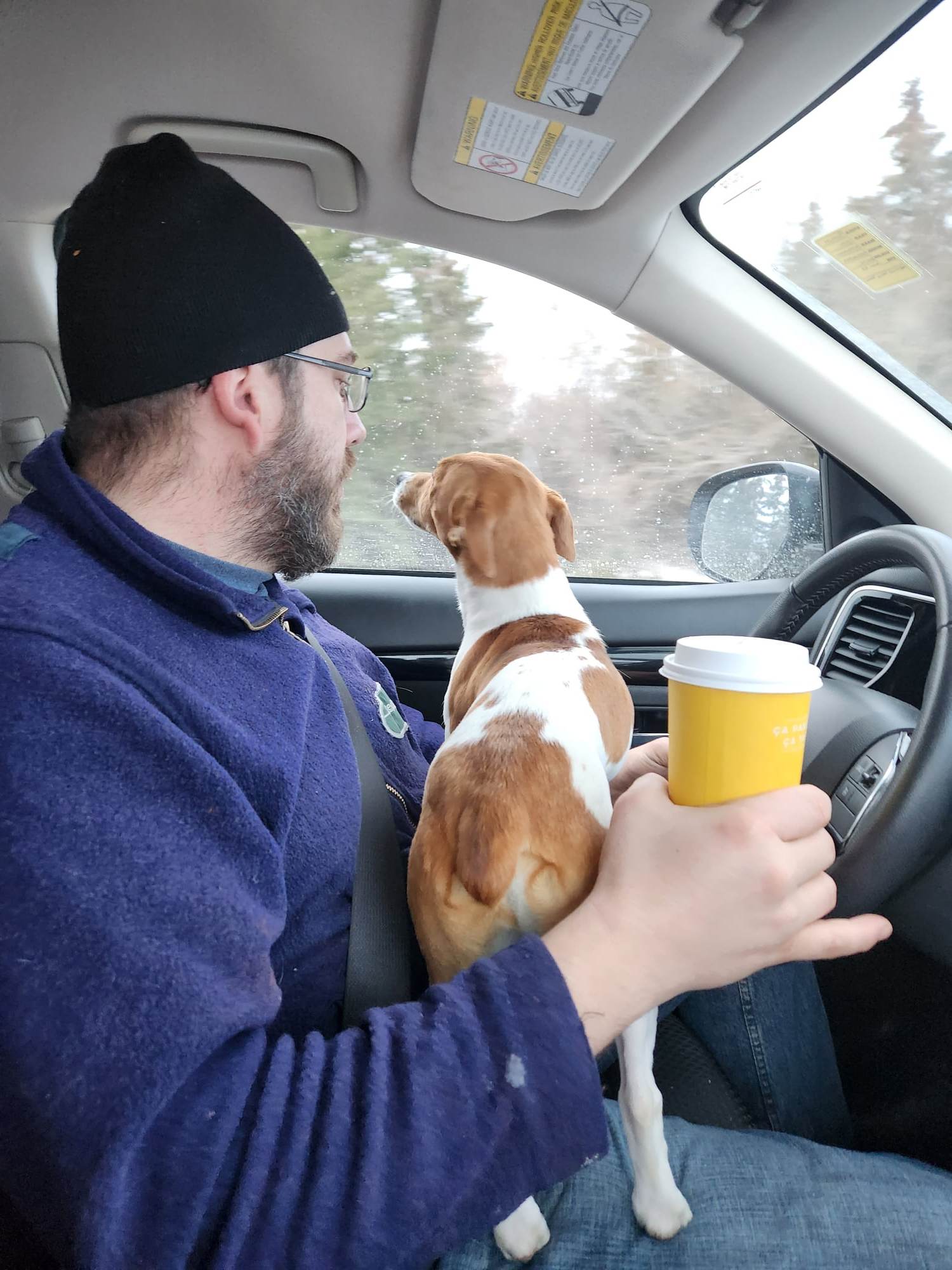 Jack Russell Terrier Puppies - 5 - 1757354147295_tracker