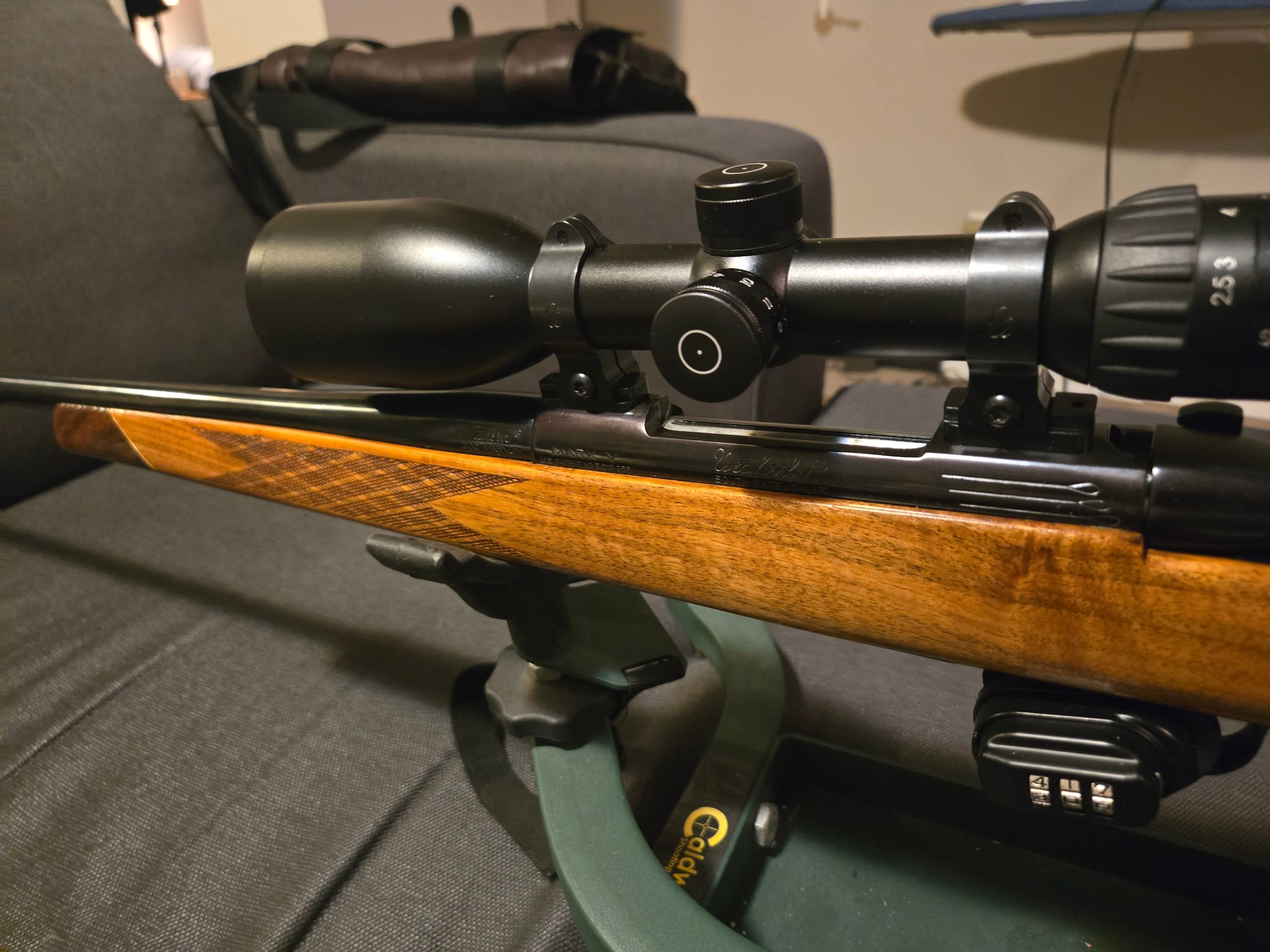 Photo of .300 weatherby magnum 