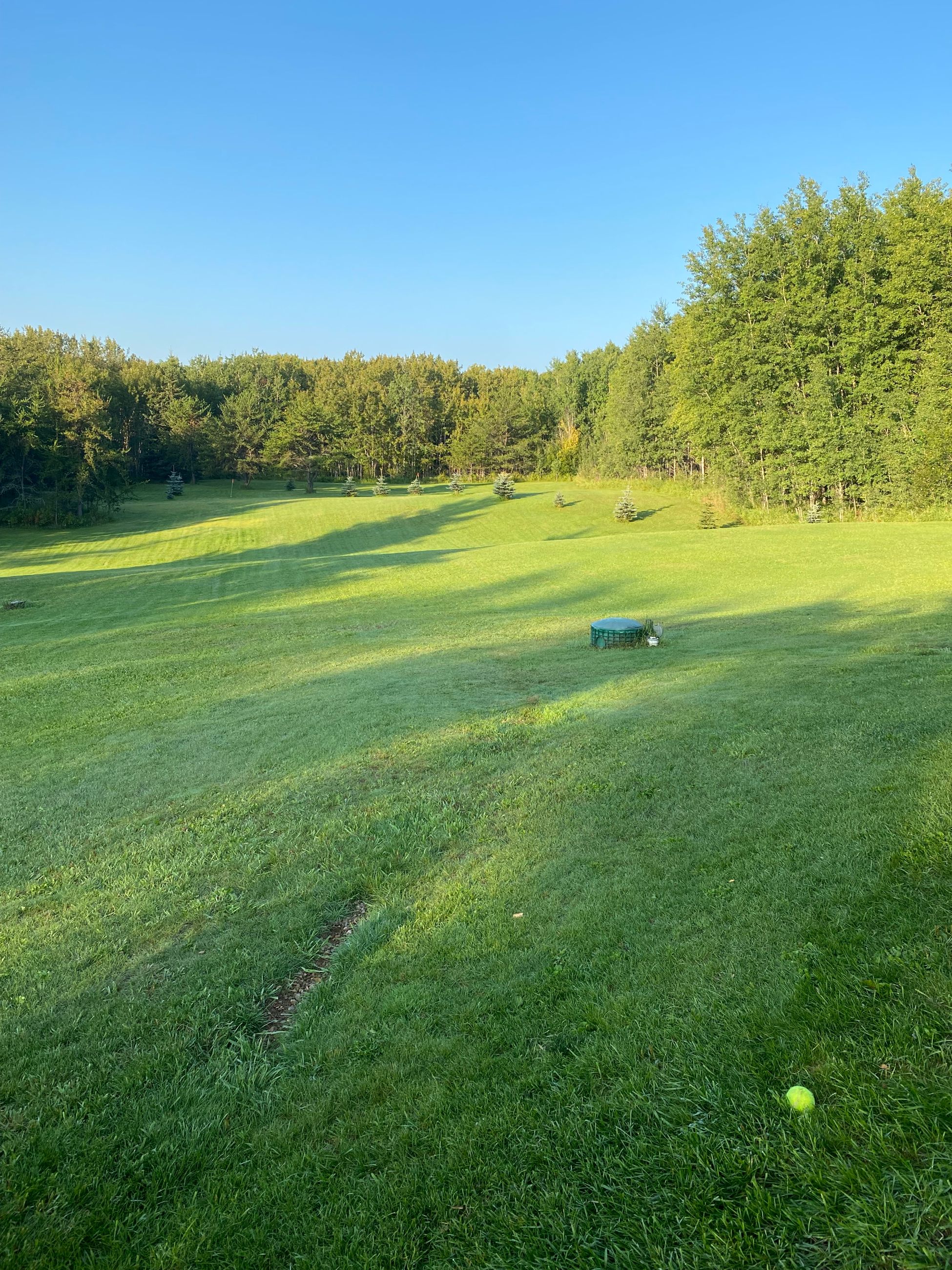 Photo of Acreage for sale near Hanmore lake (5 km south)