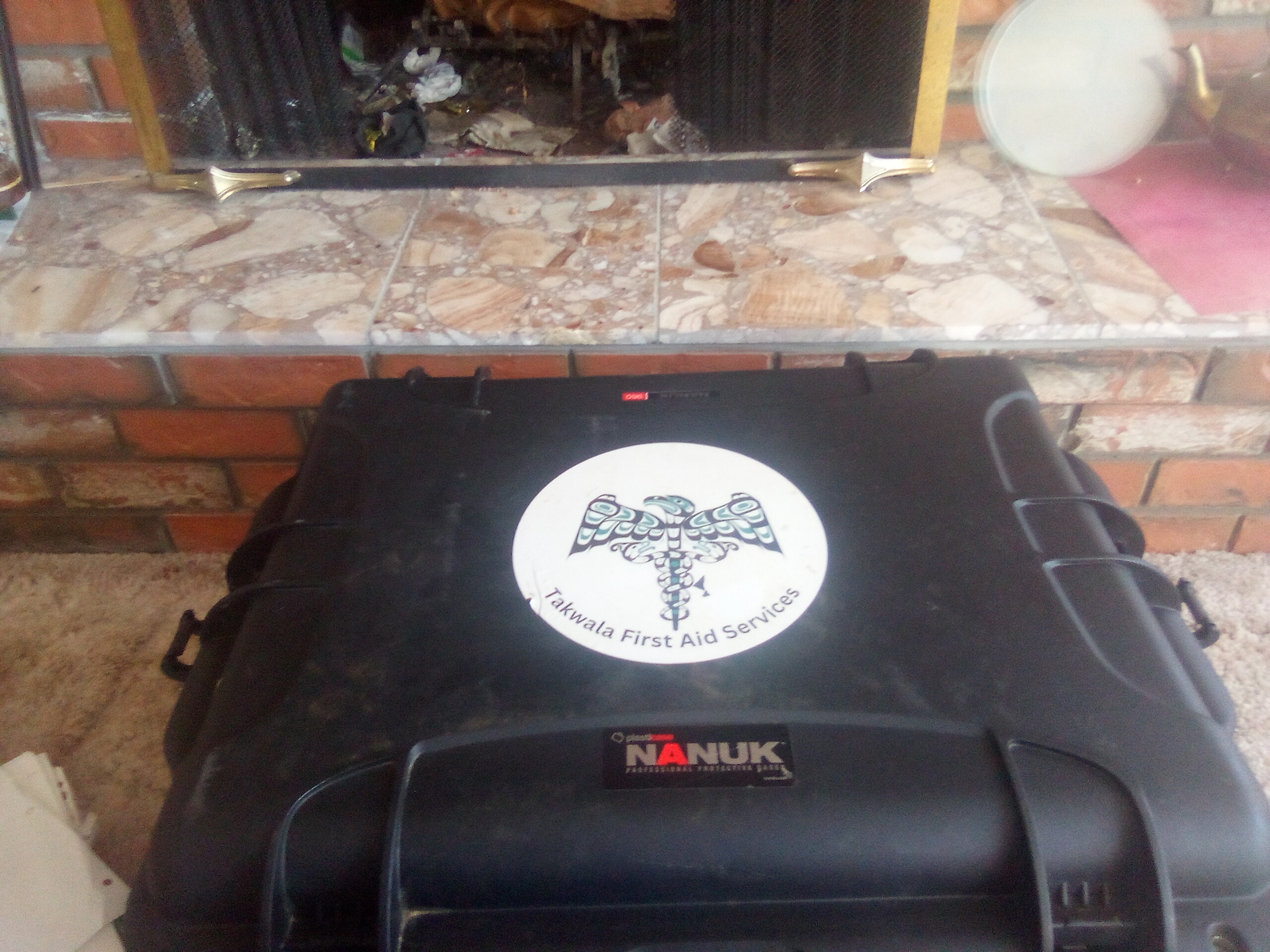 Photo of Nanuk 360 travel case with padded sections