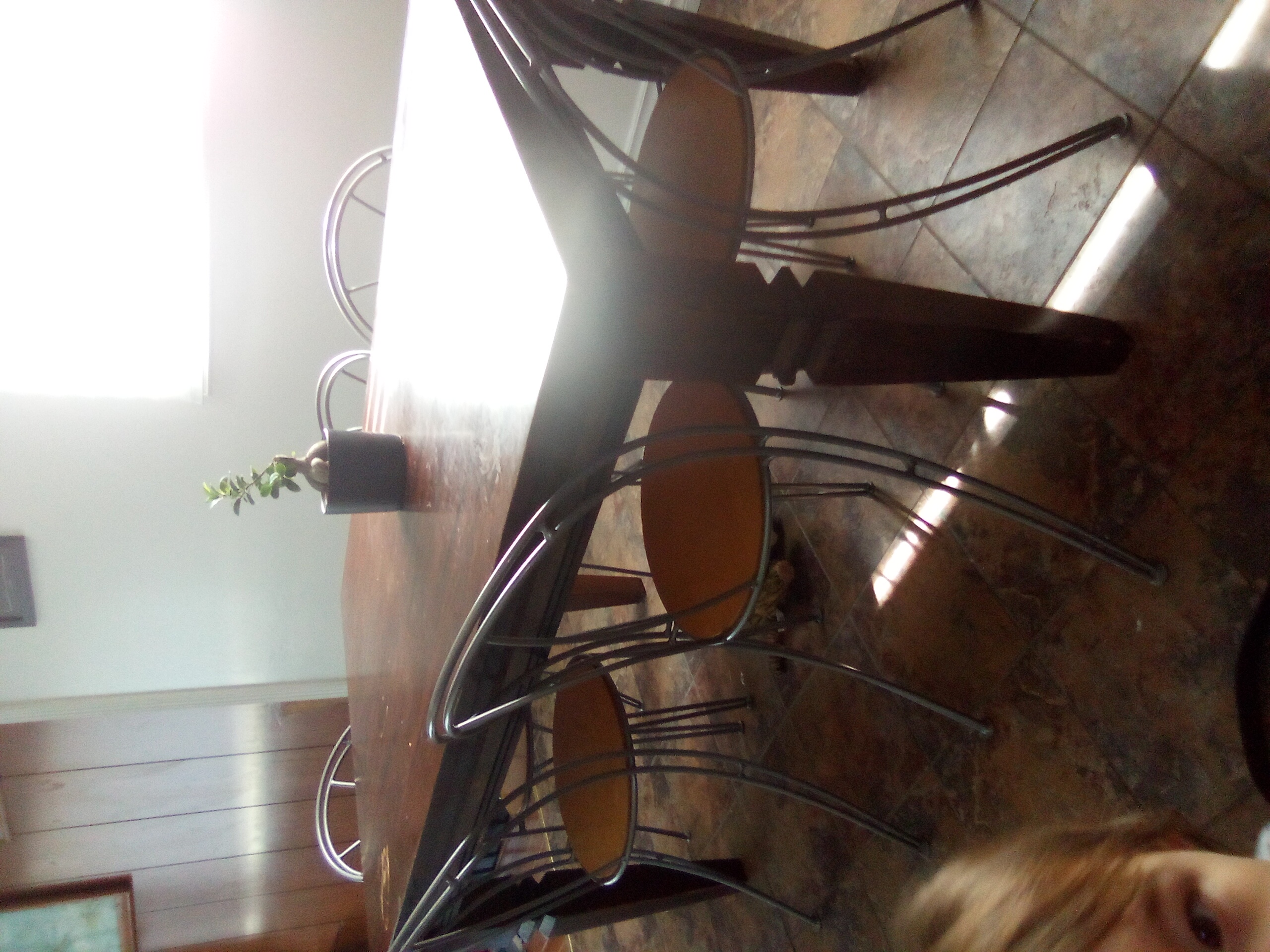 Photo of Solid table with 6 Chairs 