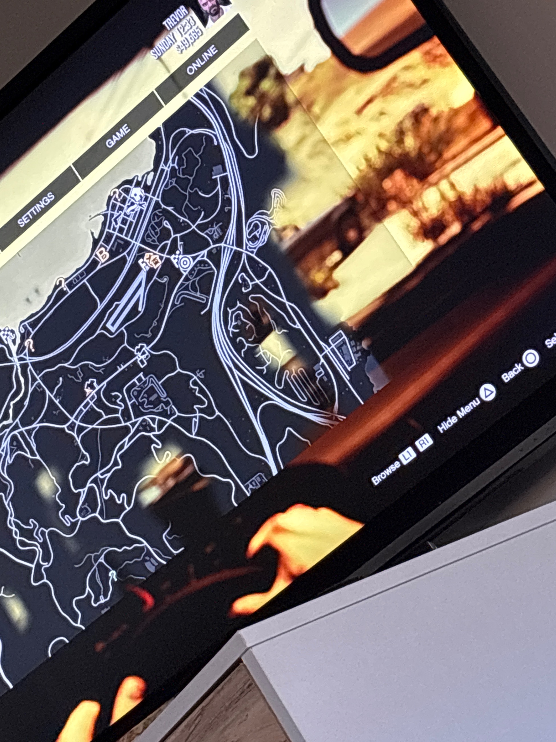 Photo of Looking for a puppy