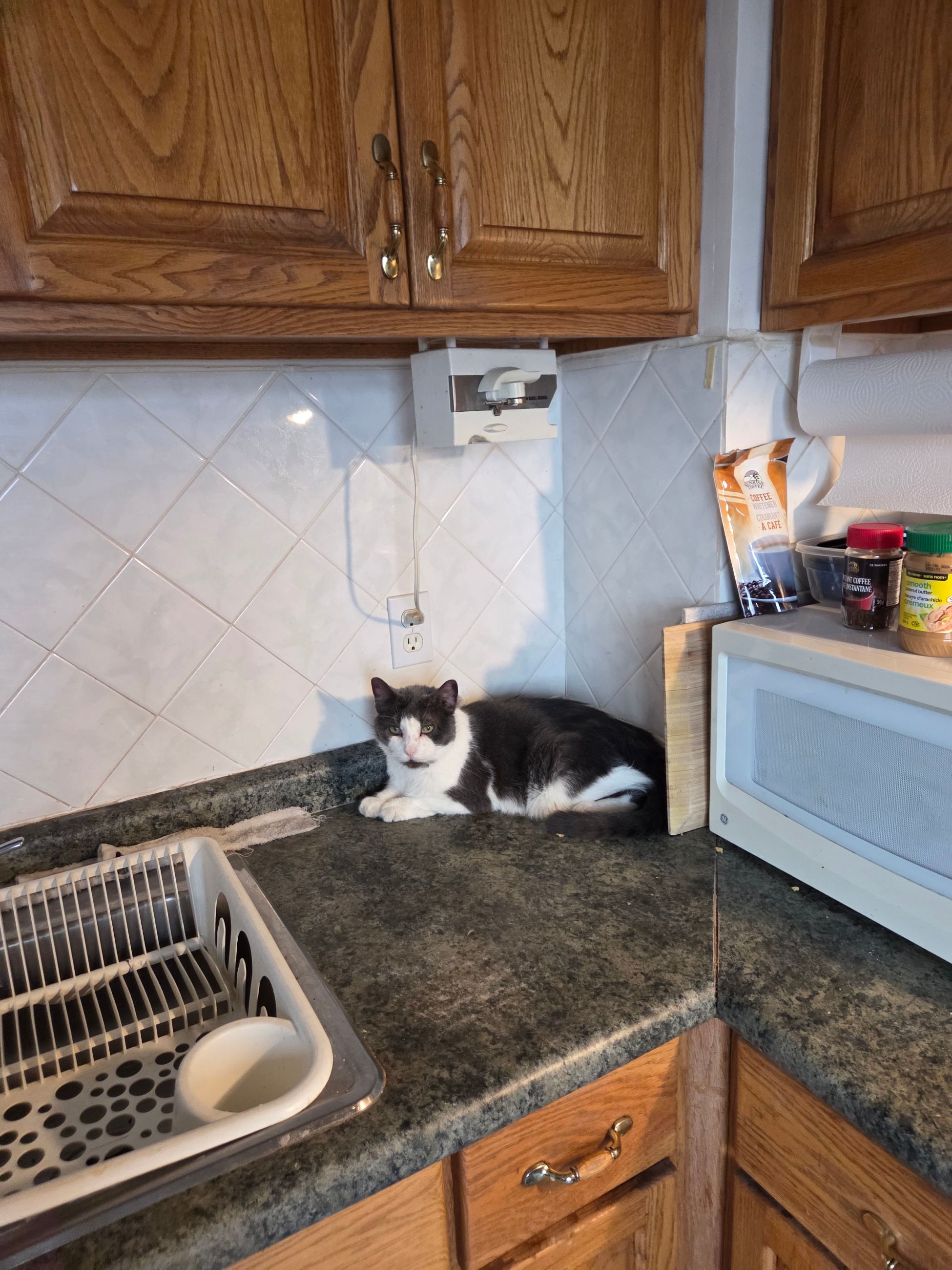 Photo of Free moving boxes. 