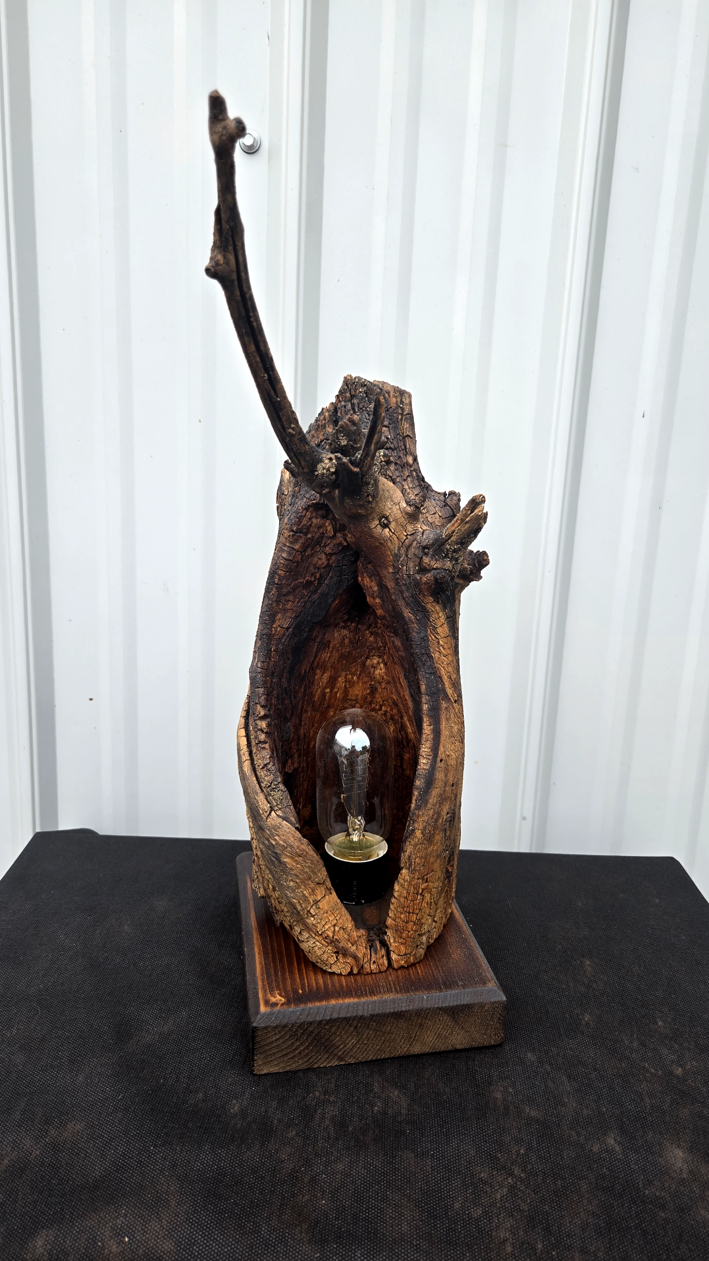 Photo of Rustic lamp From a beaver chewn log 