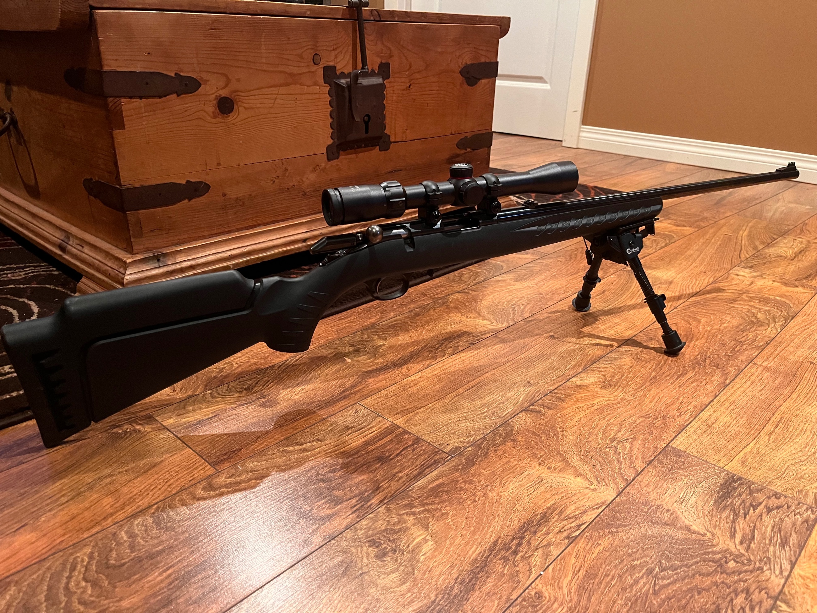 Photo of Ruger American .22 WMR Package Deal
