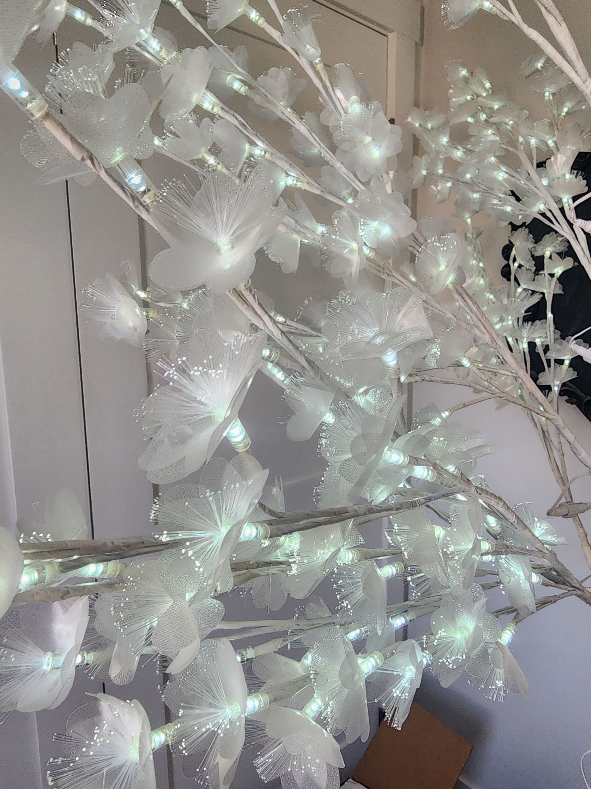 Photo of Fibre Optic Tree
