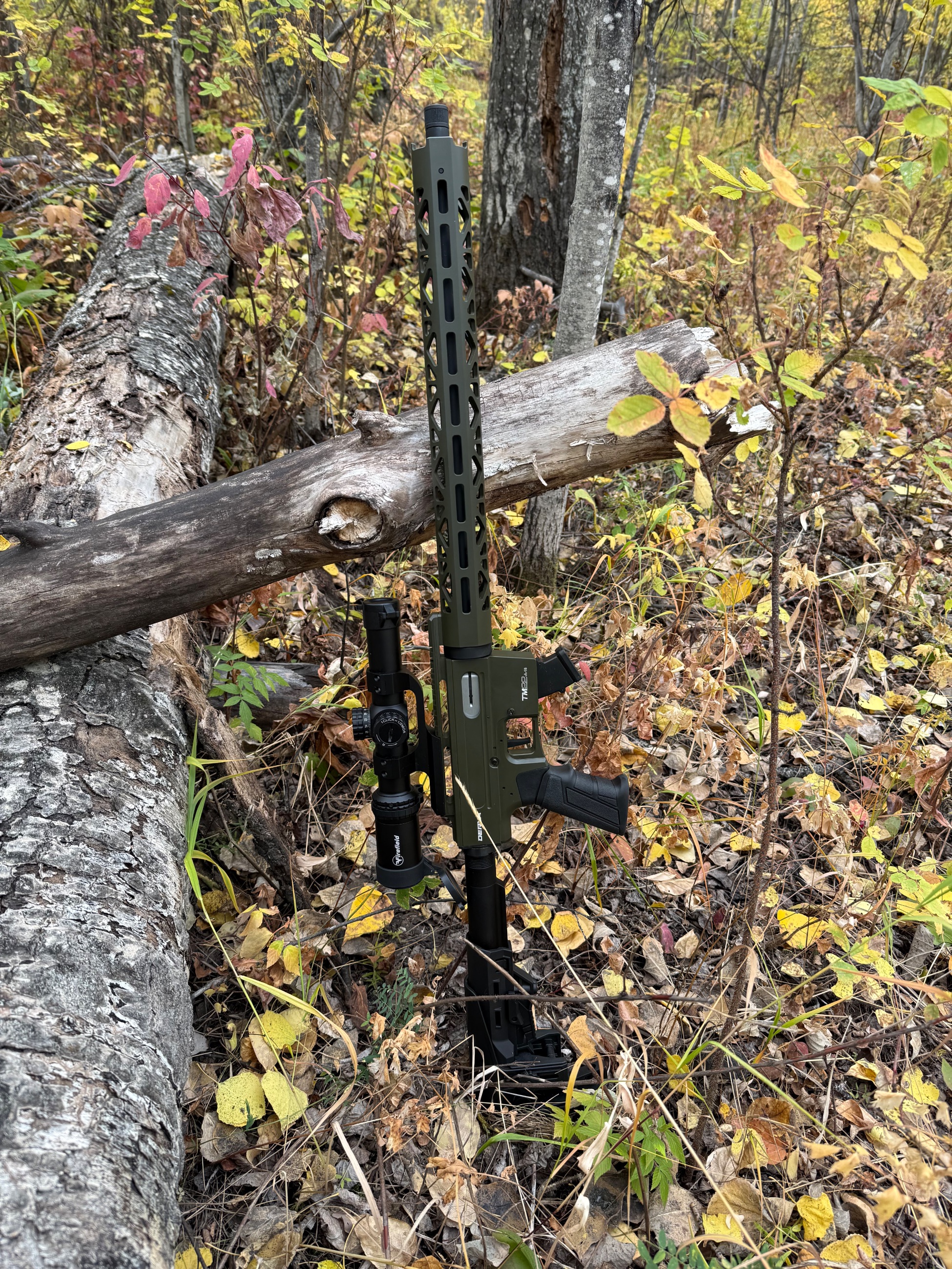 Photo of Semi auto 22