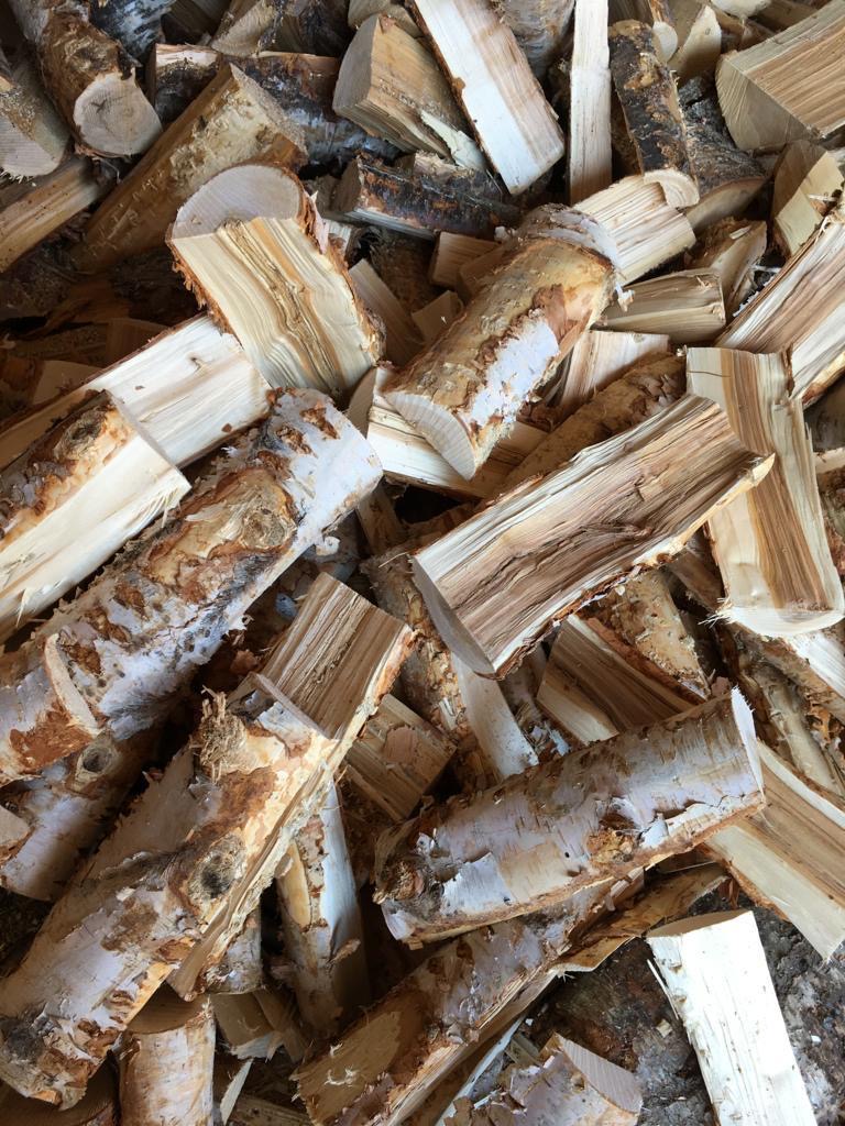 Photo of Dry seasoned birch firewood