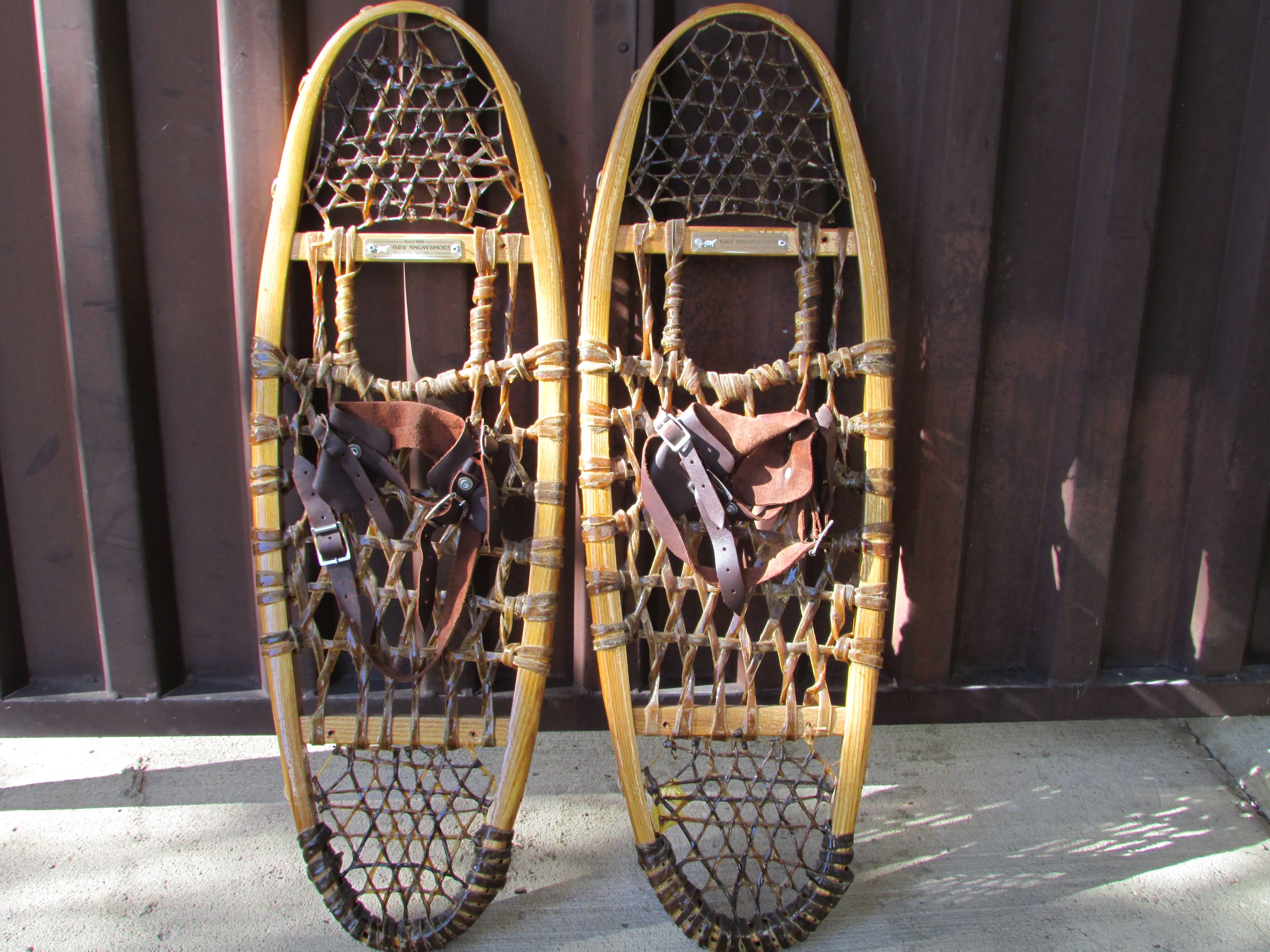 Photo of Snowshoes
