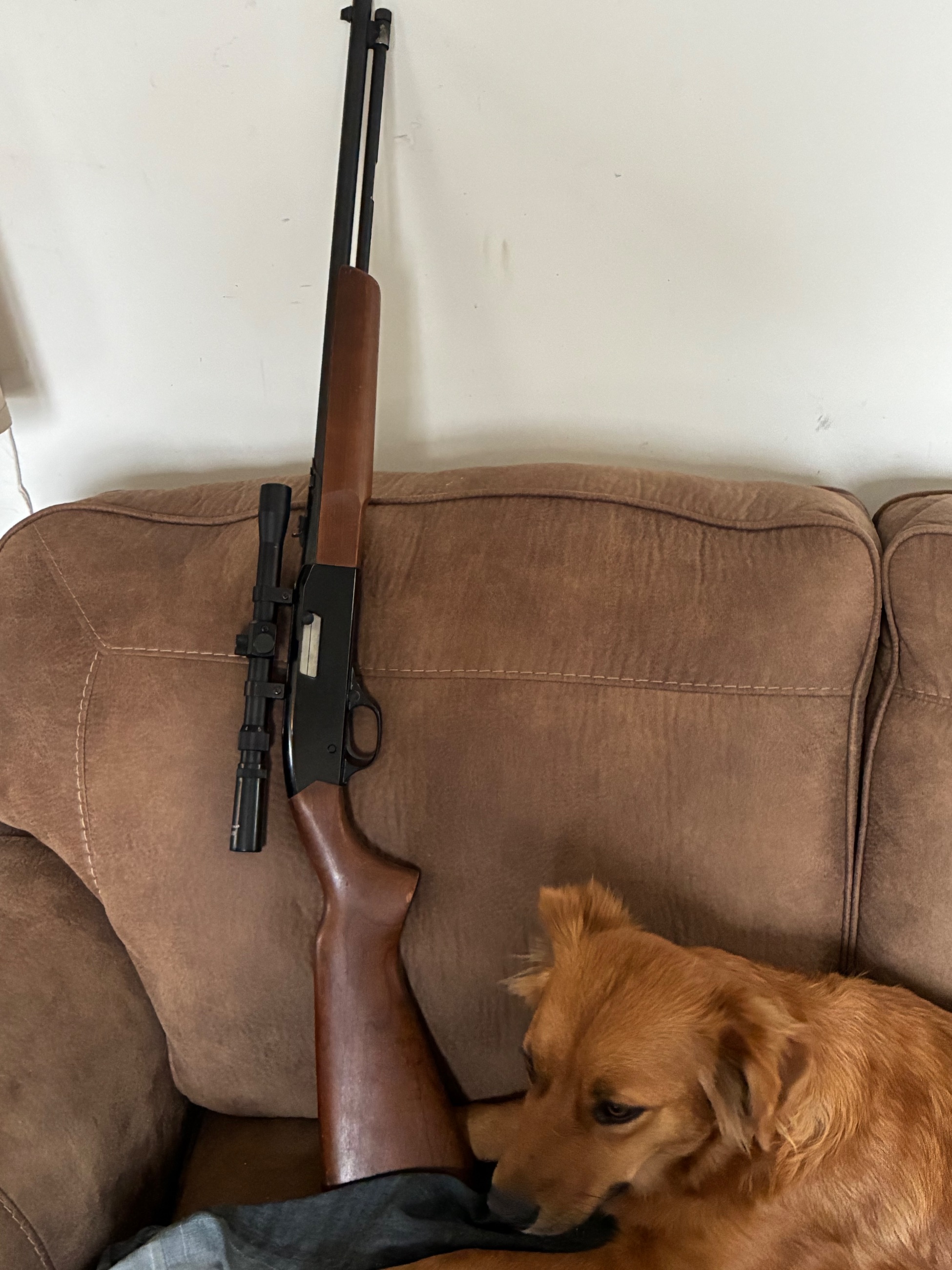 Photo of Winchester Model 190