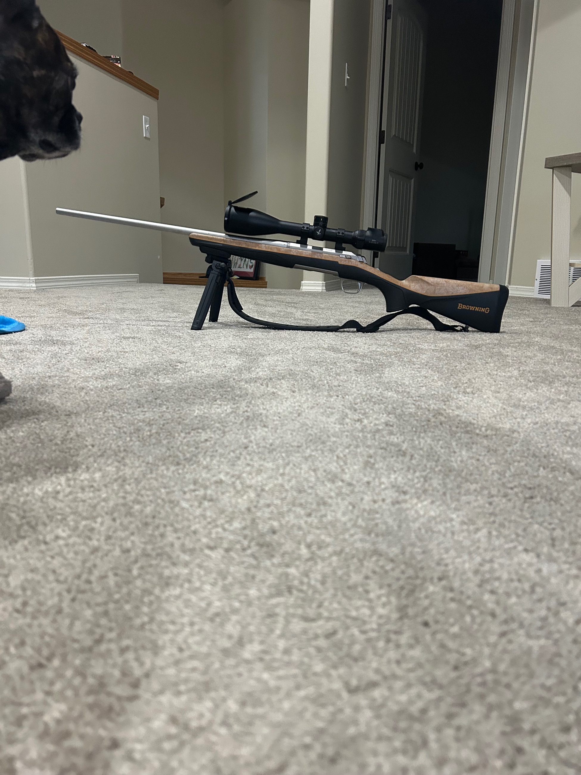 Photo of Bowning Xbolt  .300 wsm w/ Swarovski z5i +