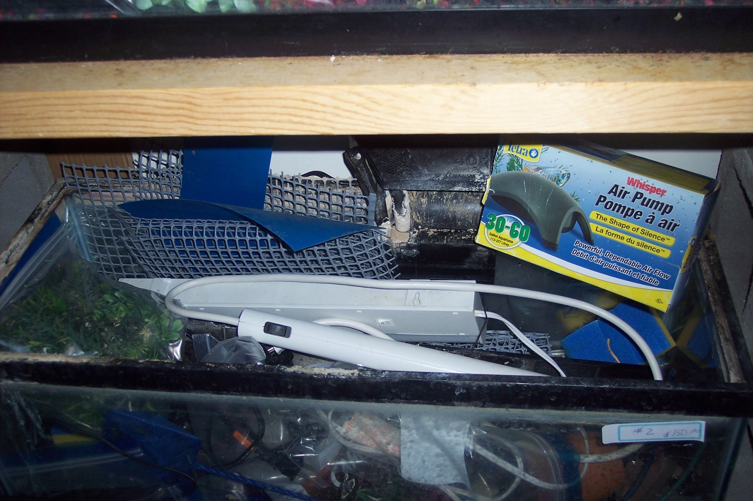 Photo of 29 gallon fish tank complete setup for sale