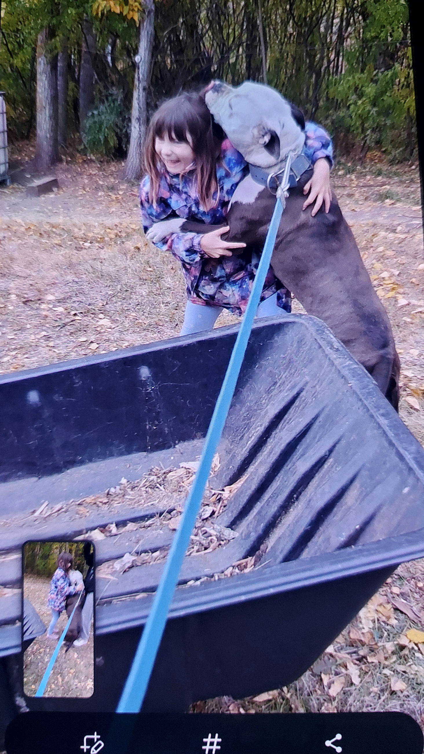 American Bullies - 12 - 1760365342475_20251013_081312