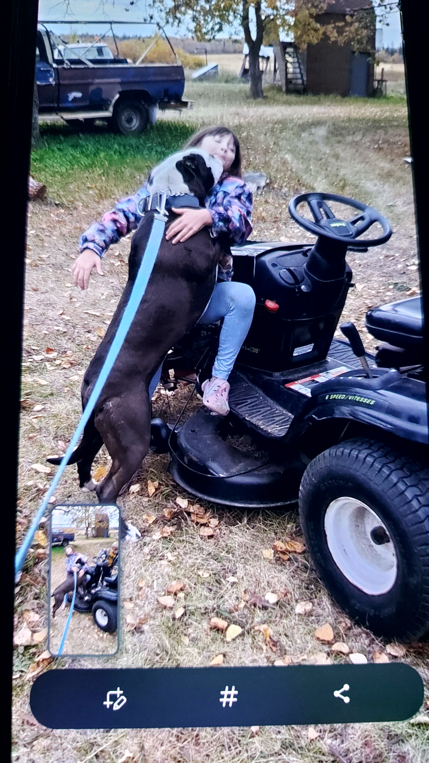 American Bullies - 14 - 1760365495054_20251013_081244