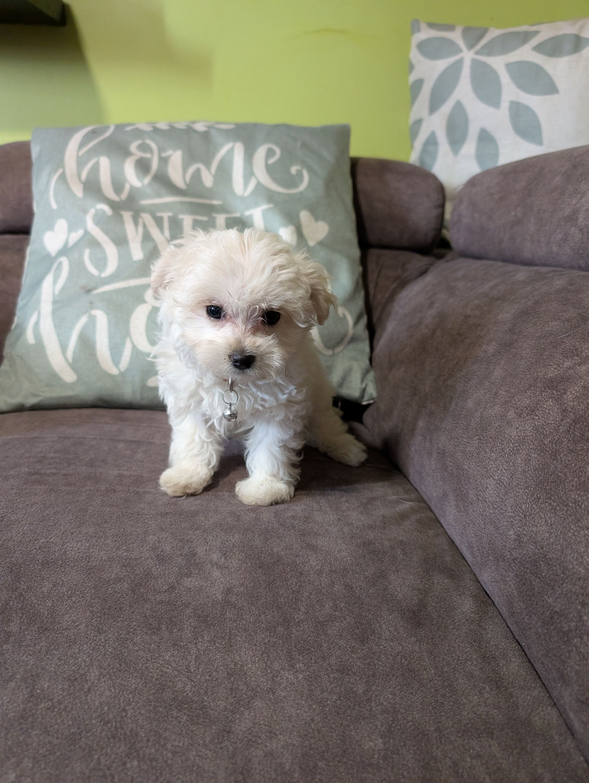 Sold  - 2 - 1760372812269_1000000811