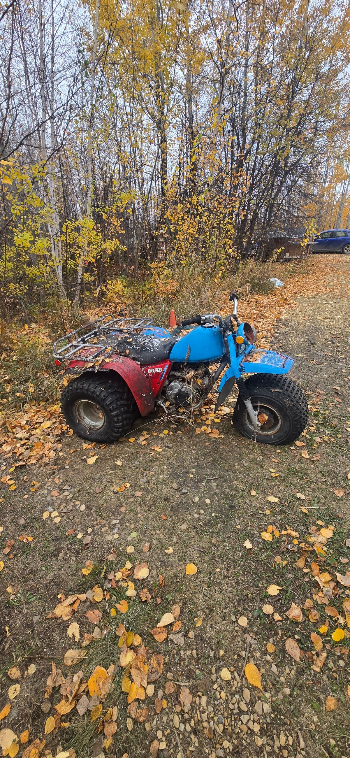 Photo of Honda Big red 200 es