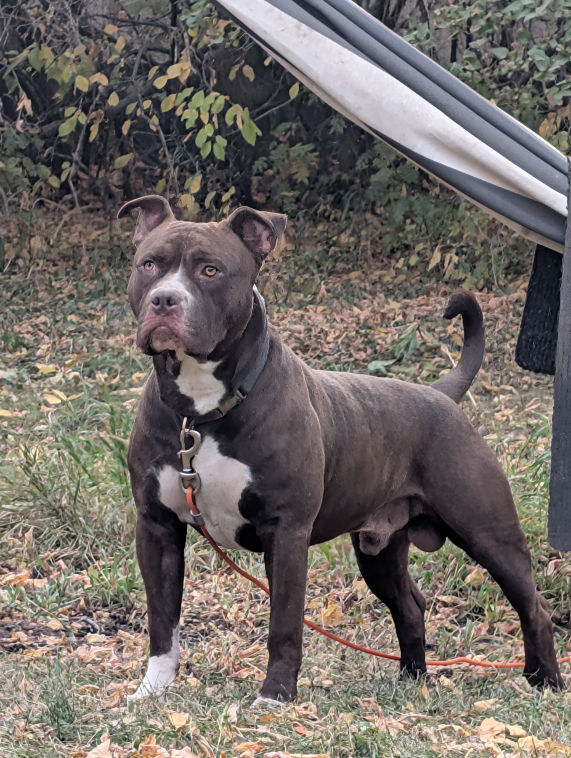 Photo of Looking for partner 