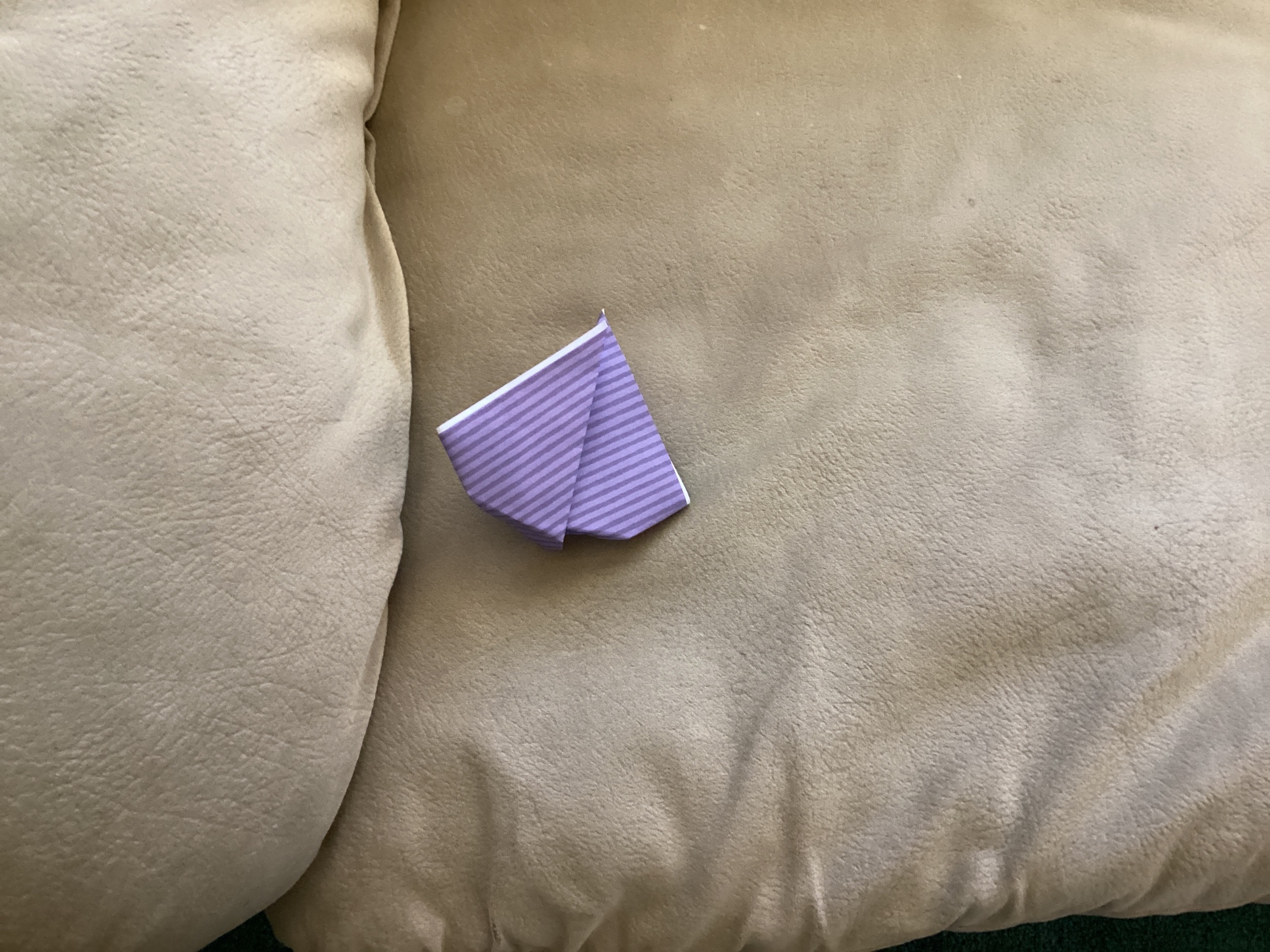 Photo of Origami Rabbit 