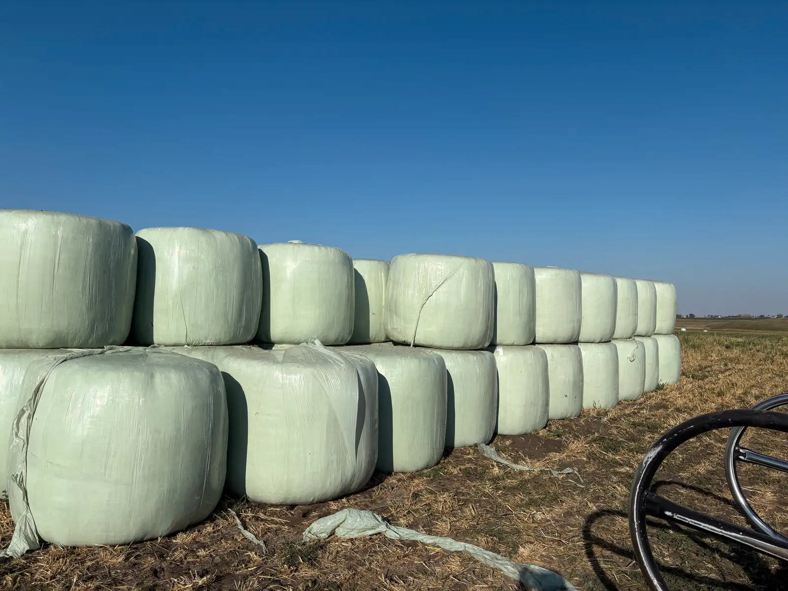 Photo of Greenfeed Silage Bales For Sale