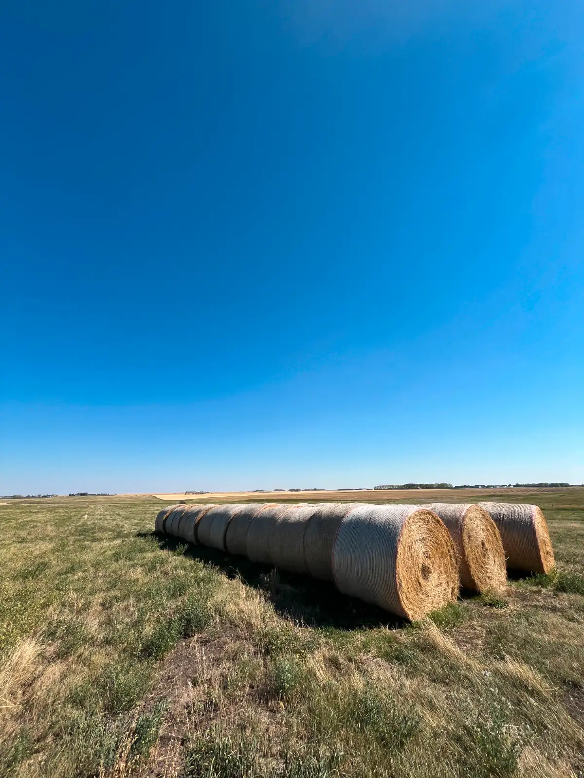 Photo of Hay For Sale